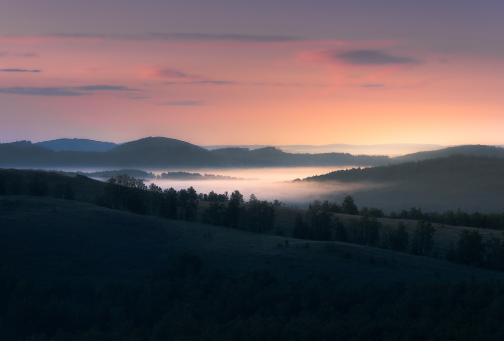 a landscape with trees and fog