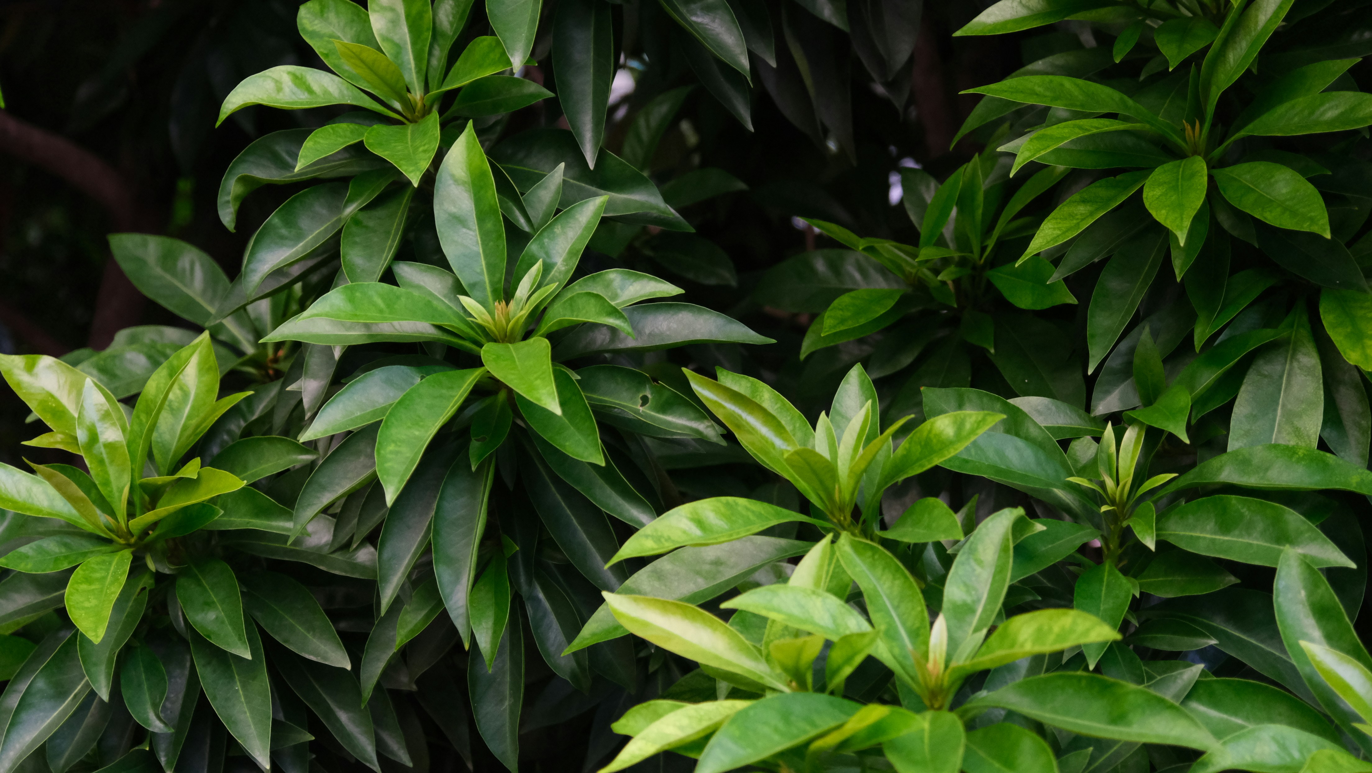 Photo by khuongduy1897