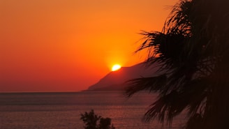 A picturesque sunset over the ocean, with silhouettes of palm trees and a distant ship.