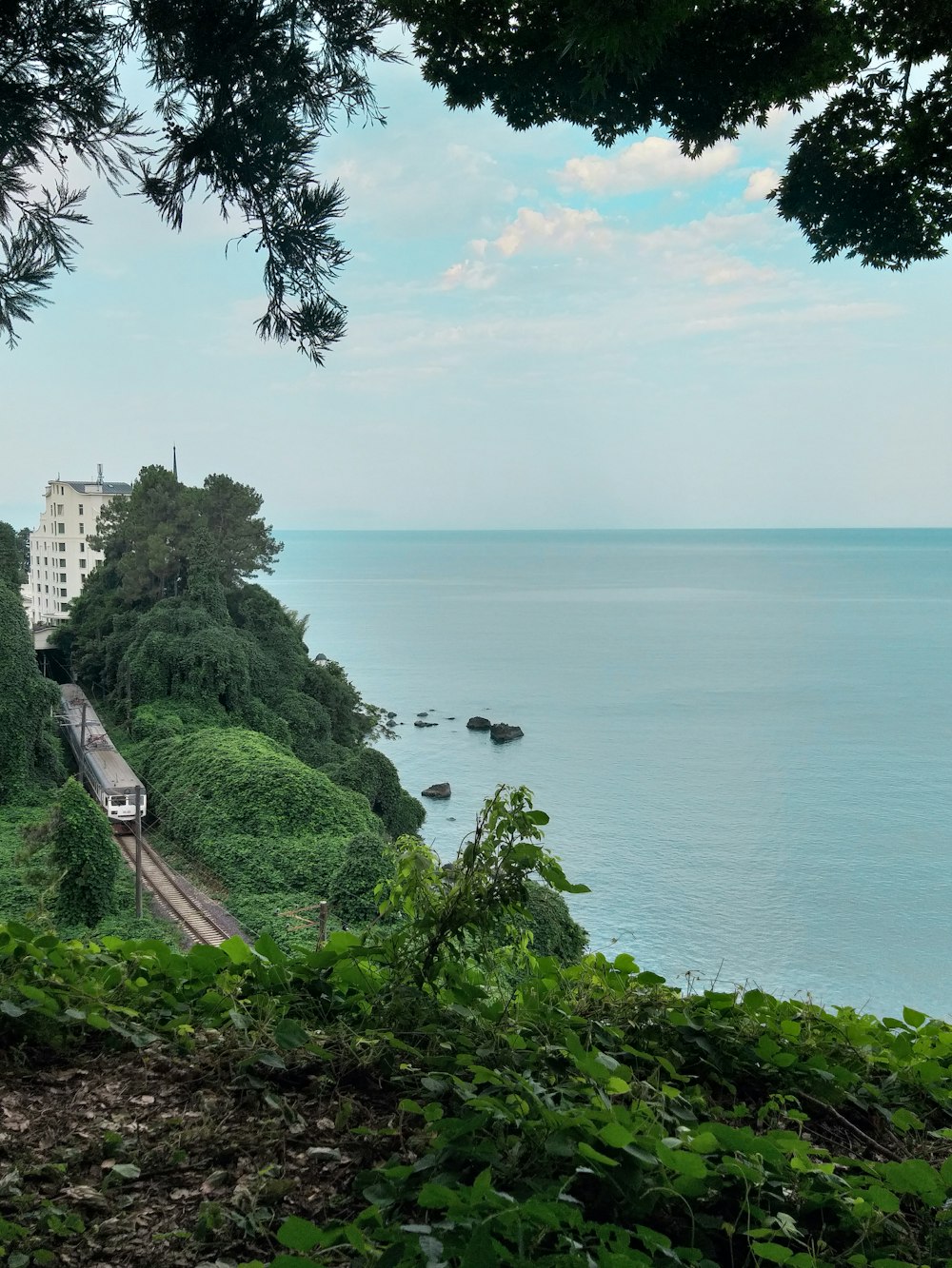 a body of water with trees and buildings along it