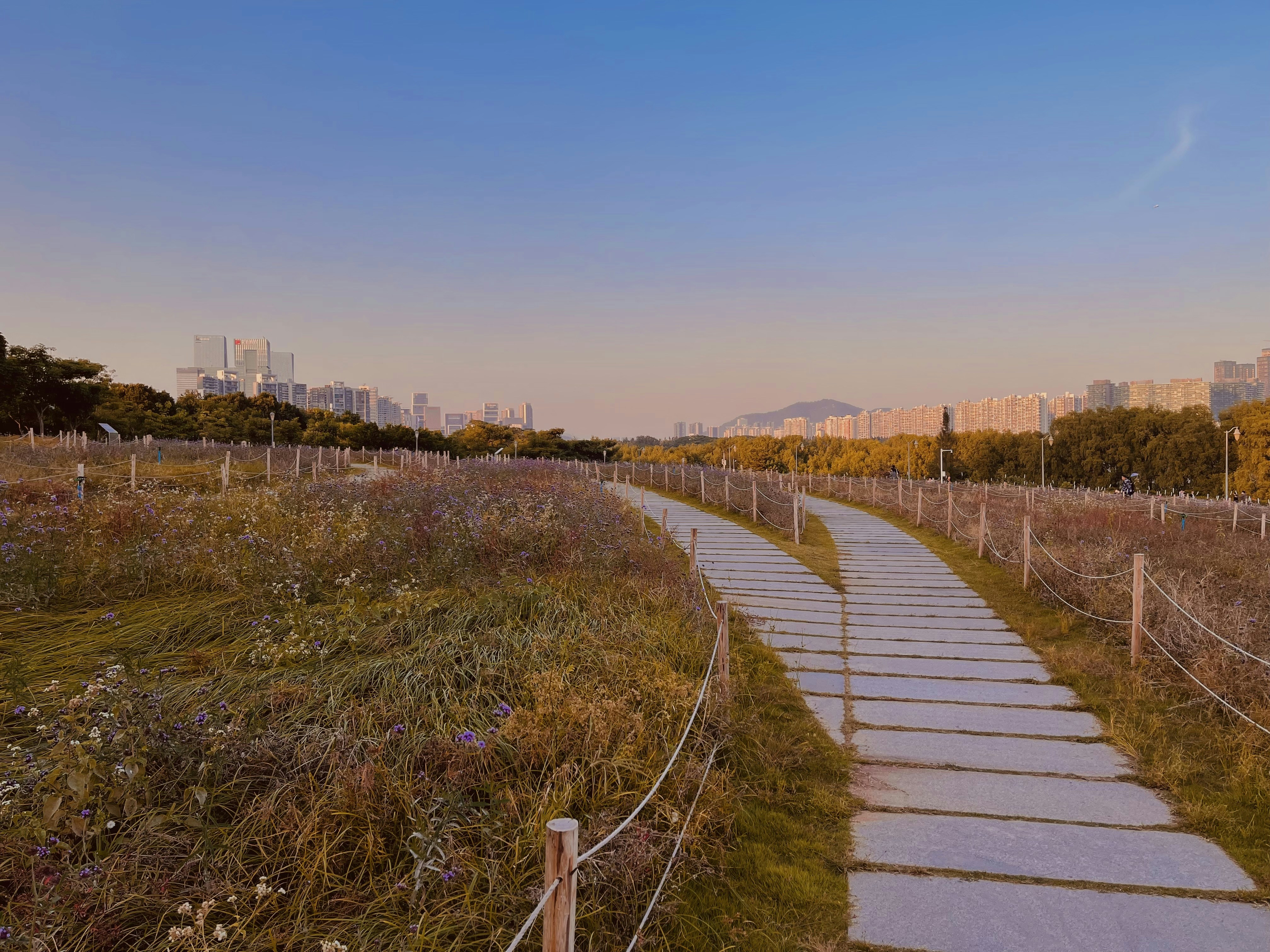 복용 근린공원(Bokyoung park)