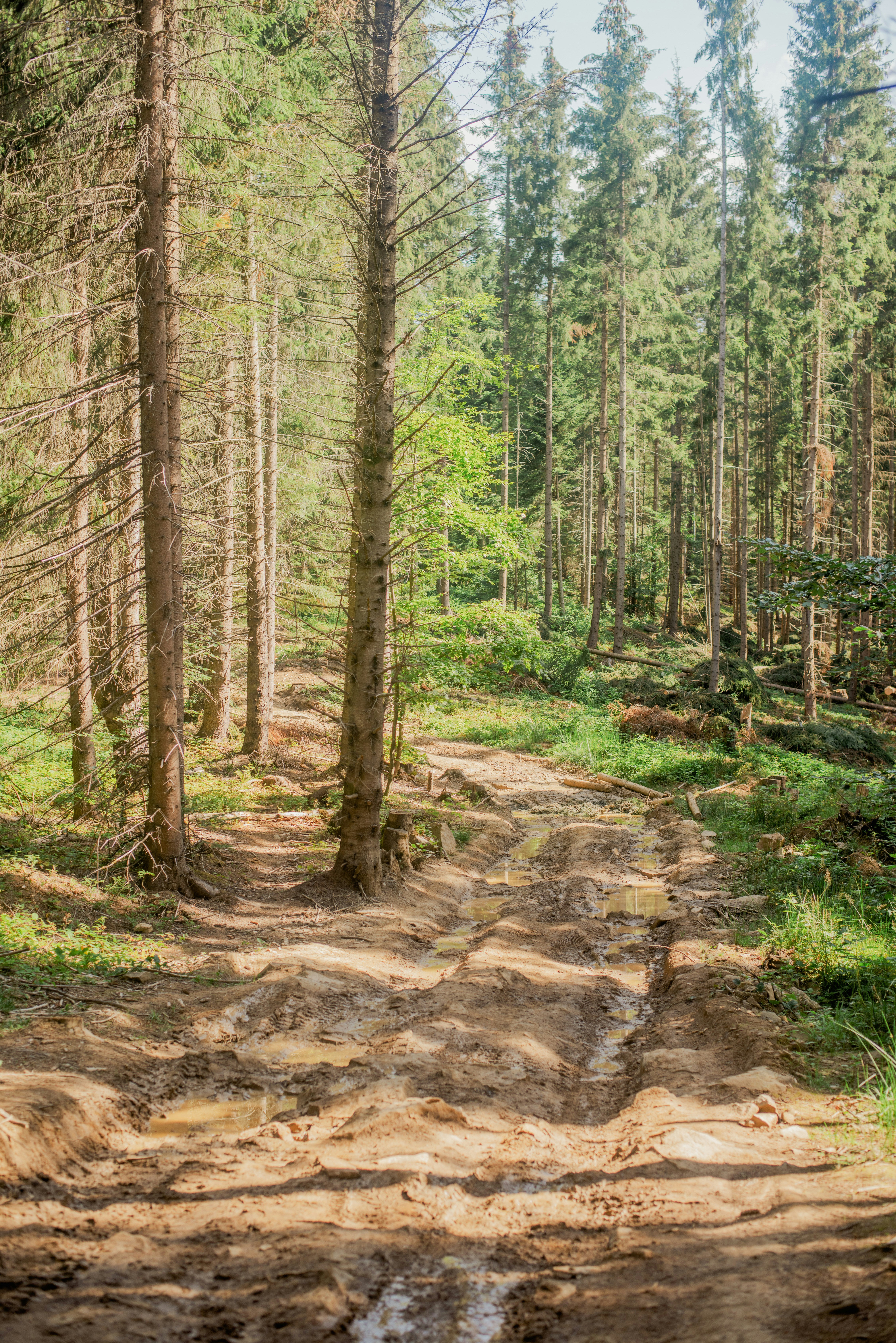 Photo by eugenivy_now