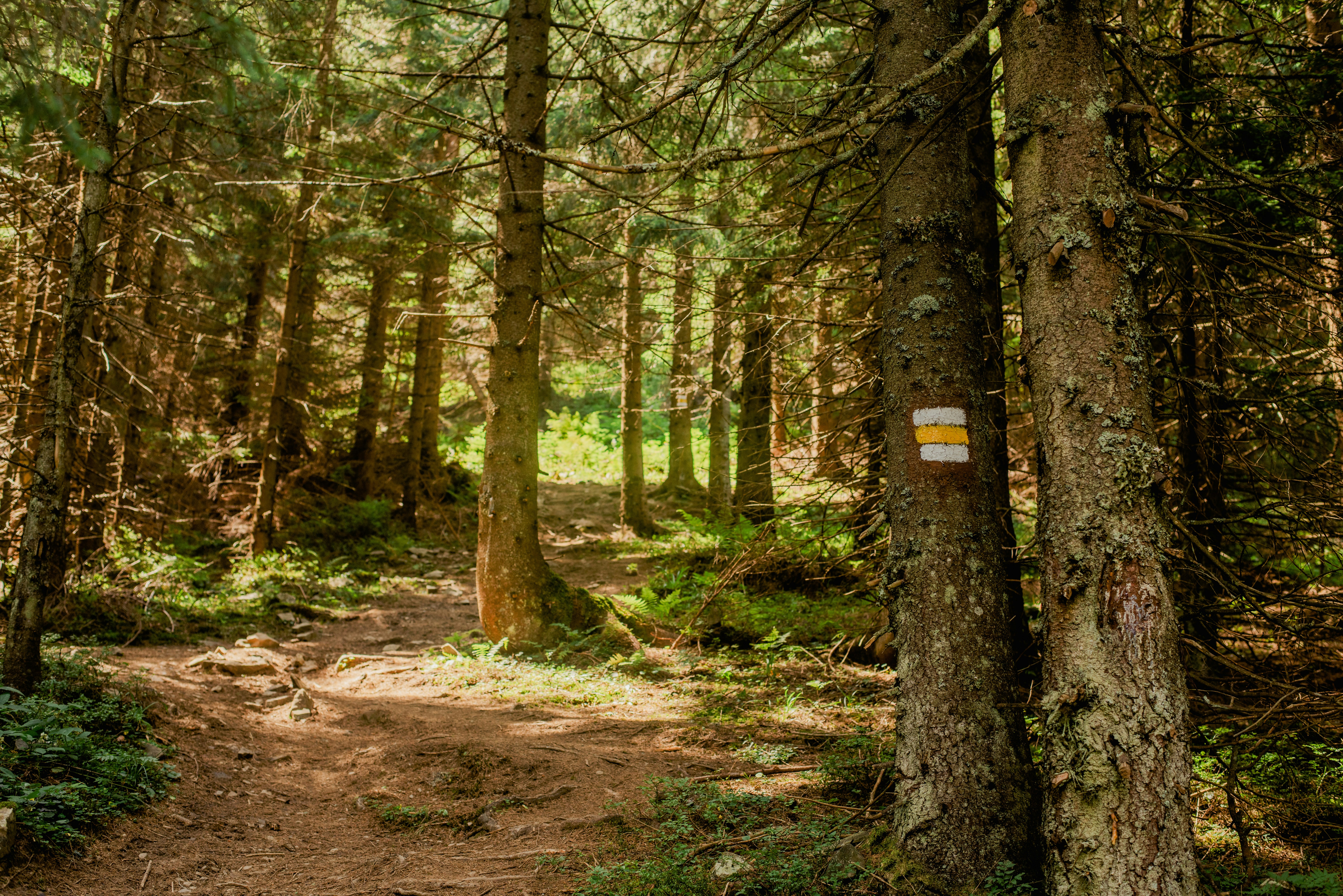 Photo by eugenivy_now