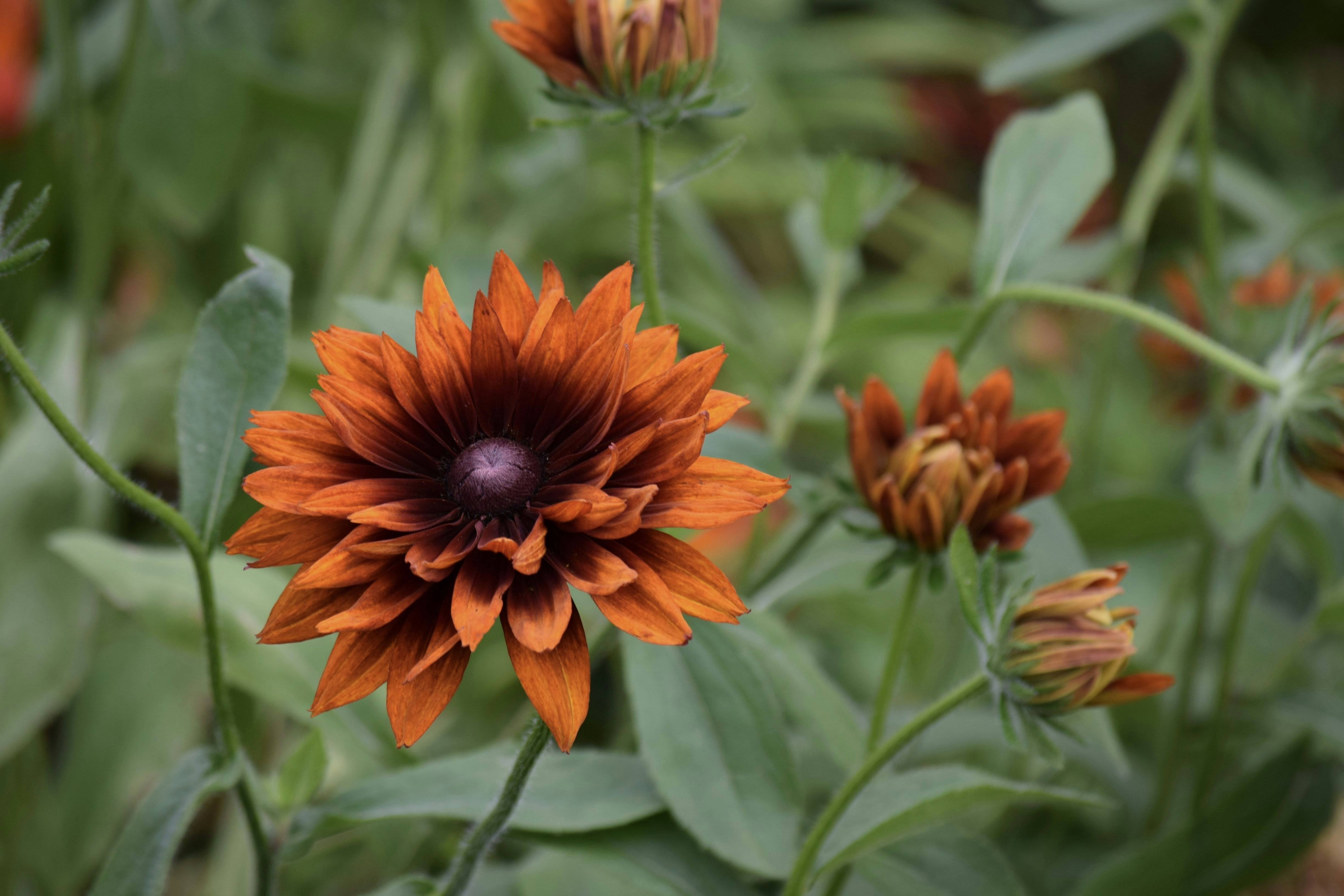 Photo by praswinprakashan