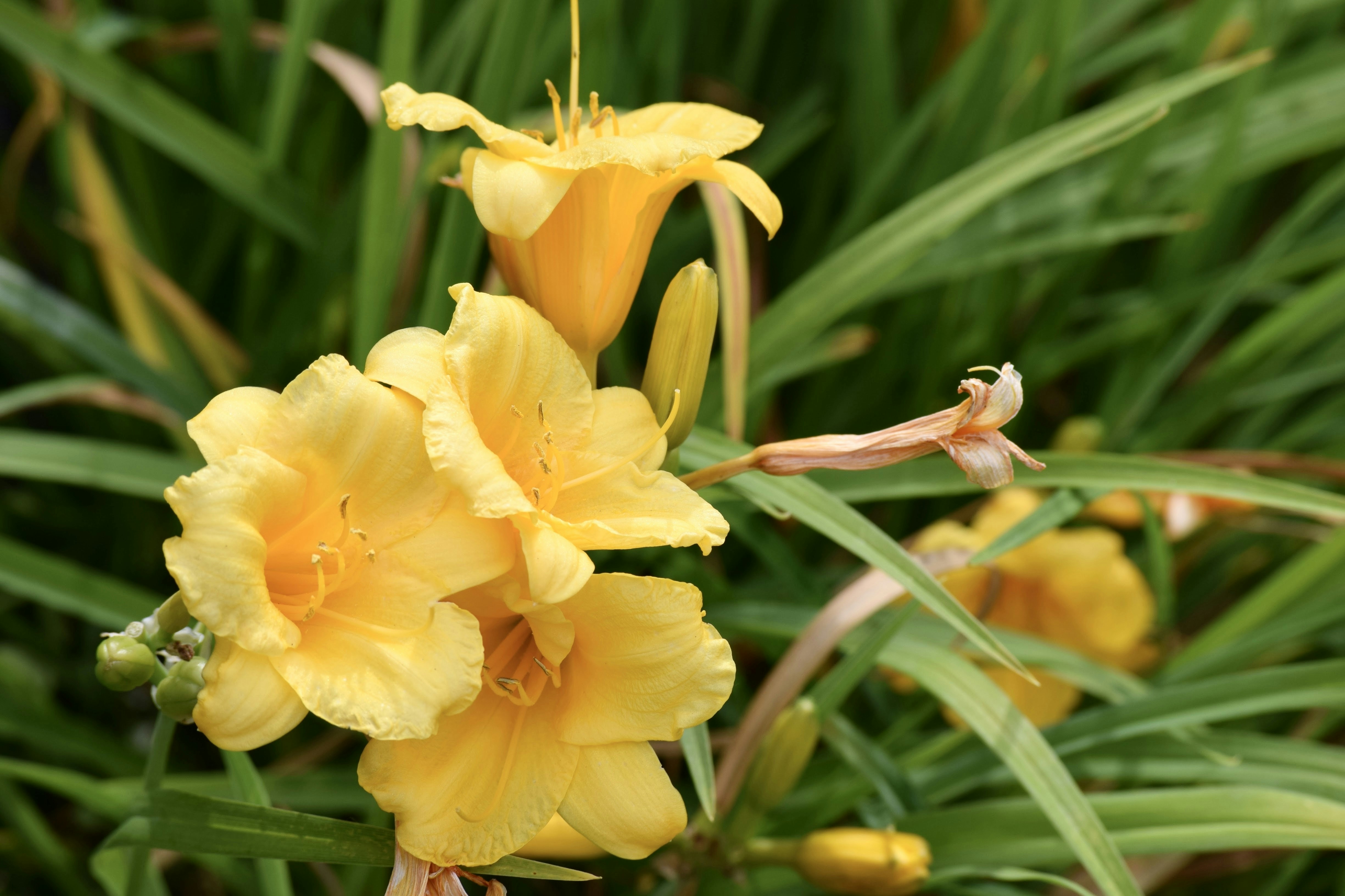 Photo by praswinprakashan