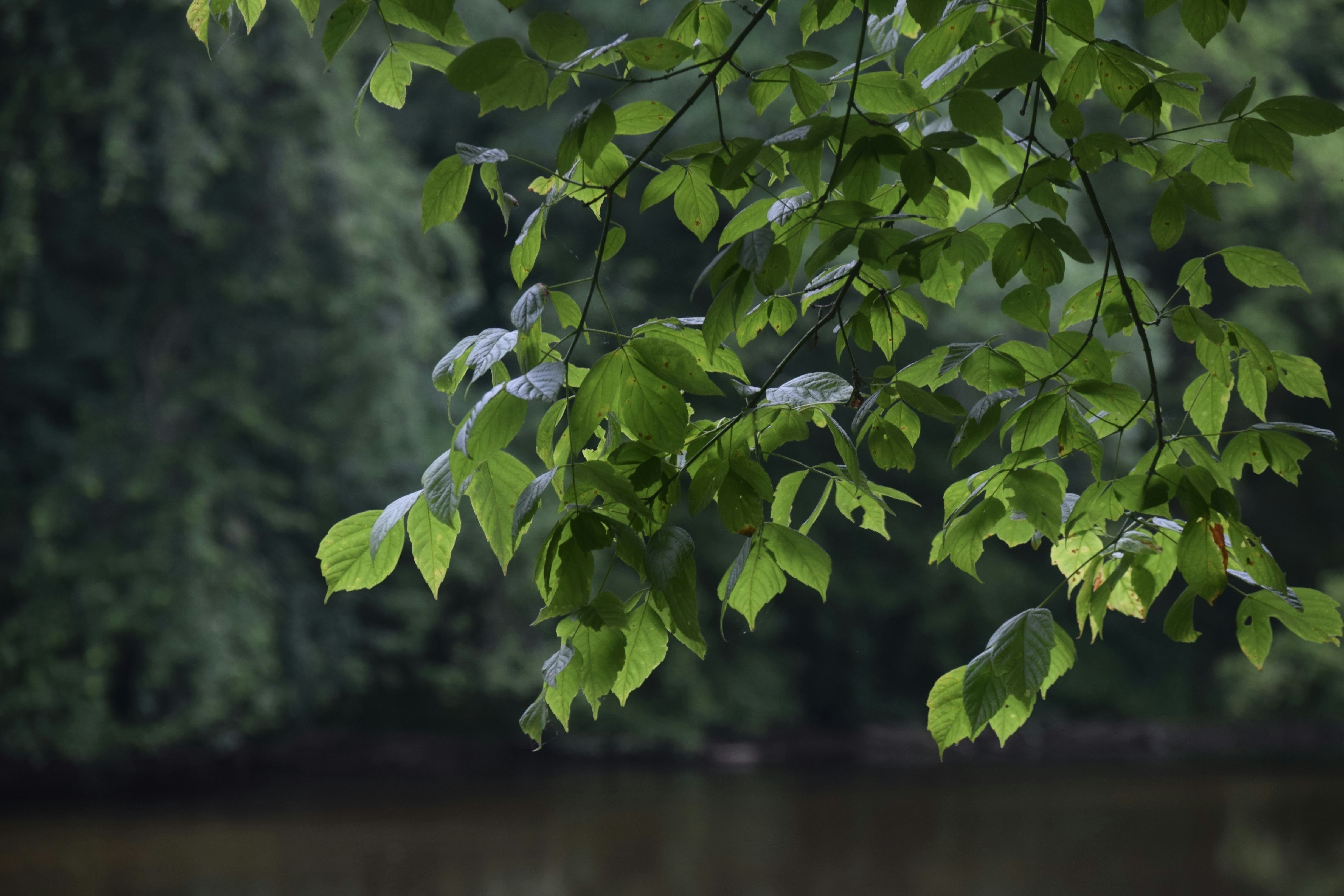 Photo by praswinprakashan