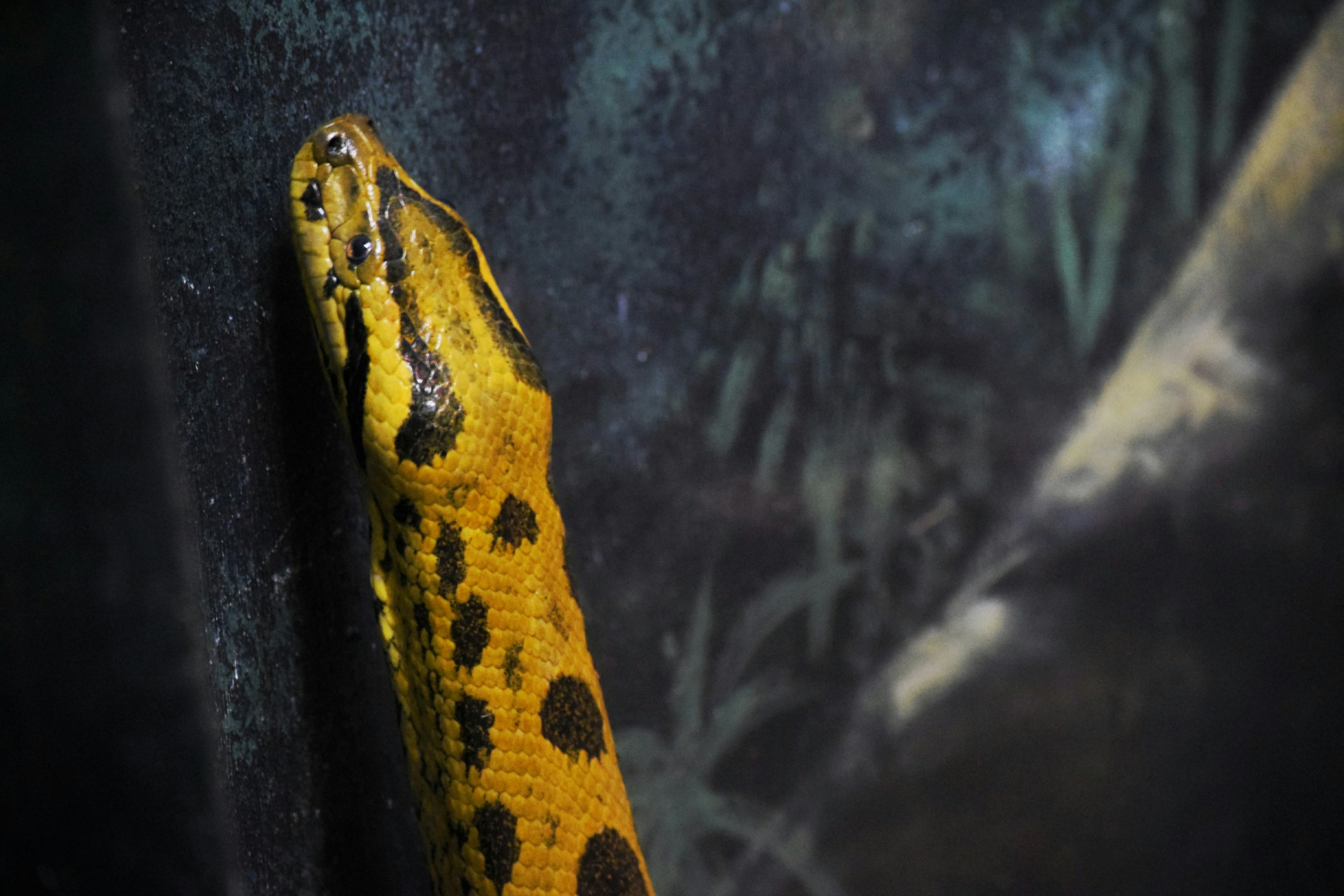 Philadelphia Zoo photo 2