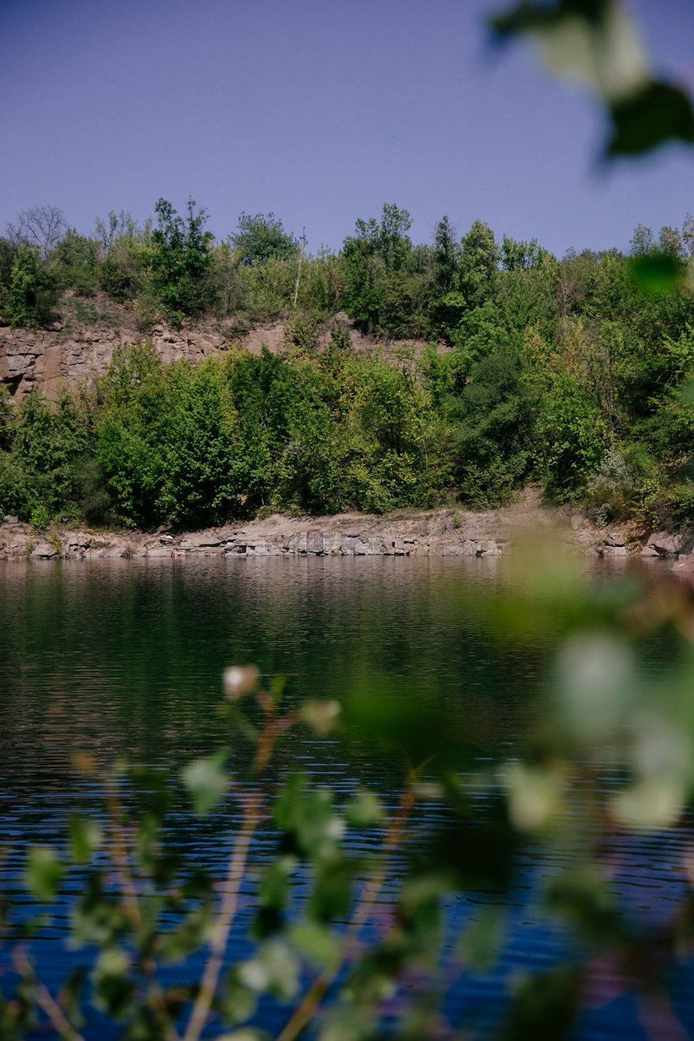 a body of water with trees around it