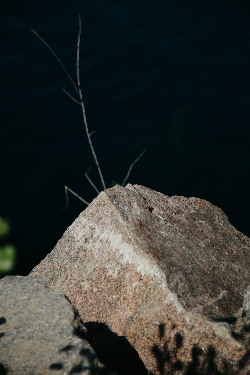 a close-up of a rock