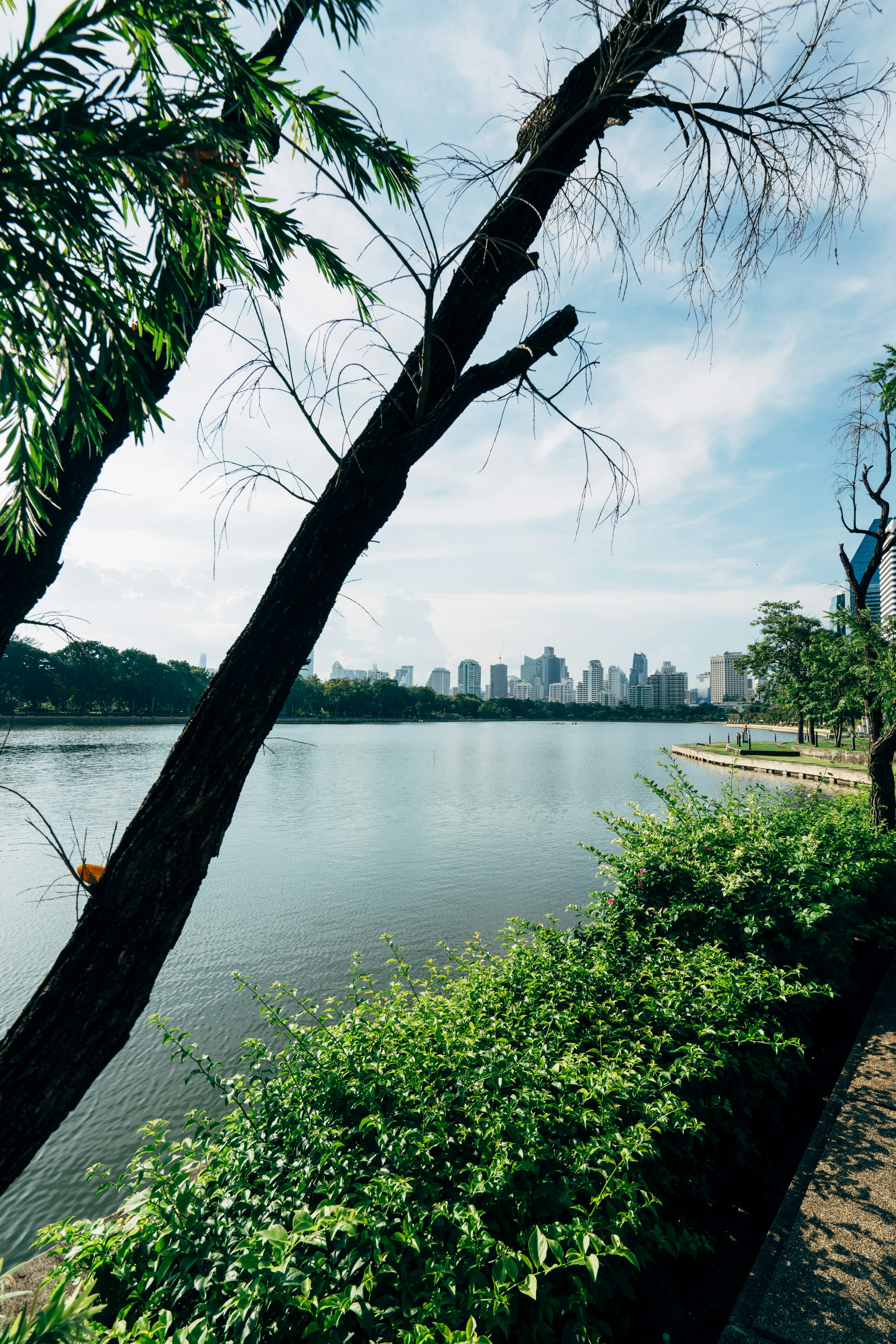 Photo by markuswinkler