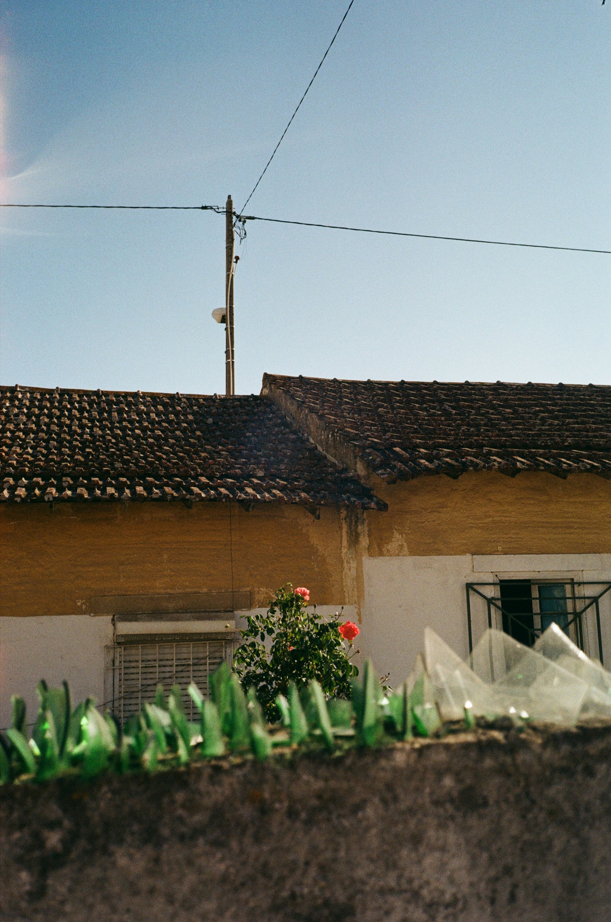 Photo by ksusha_kazak