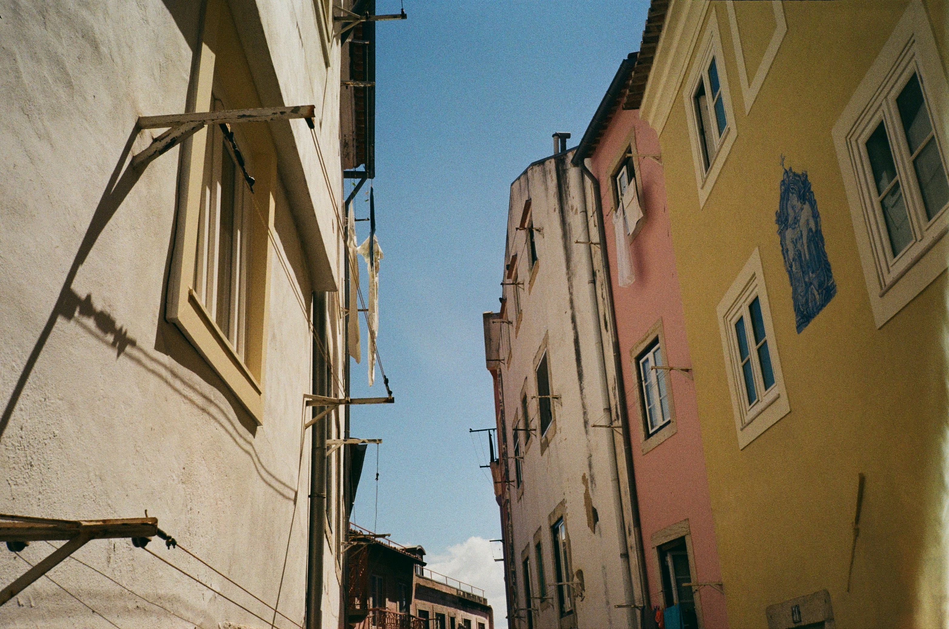 A bowl of fresh fruits and vegetables