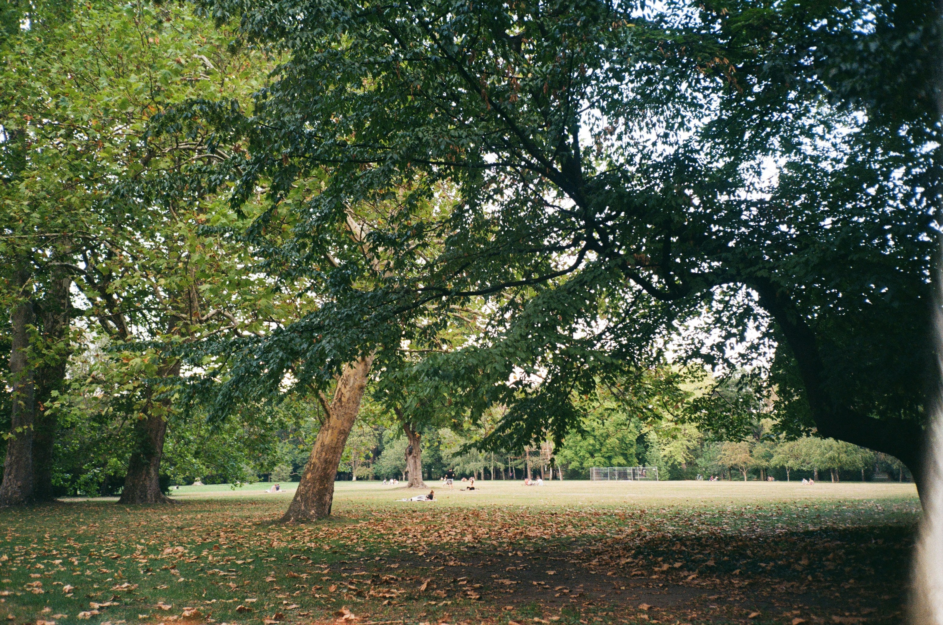 Photo by ksusha_kazak