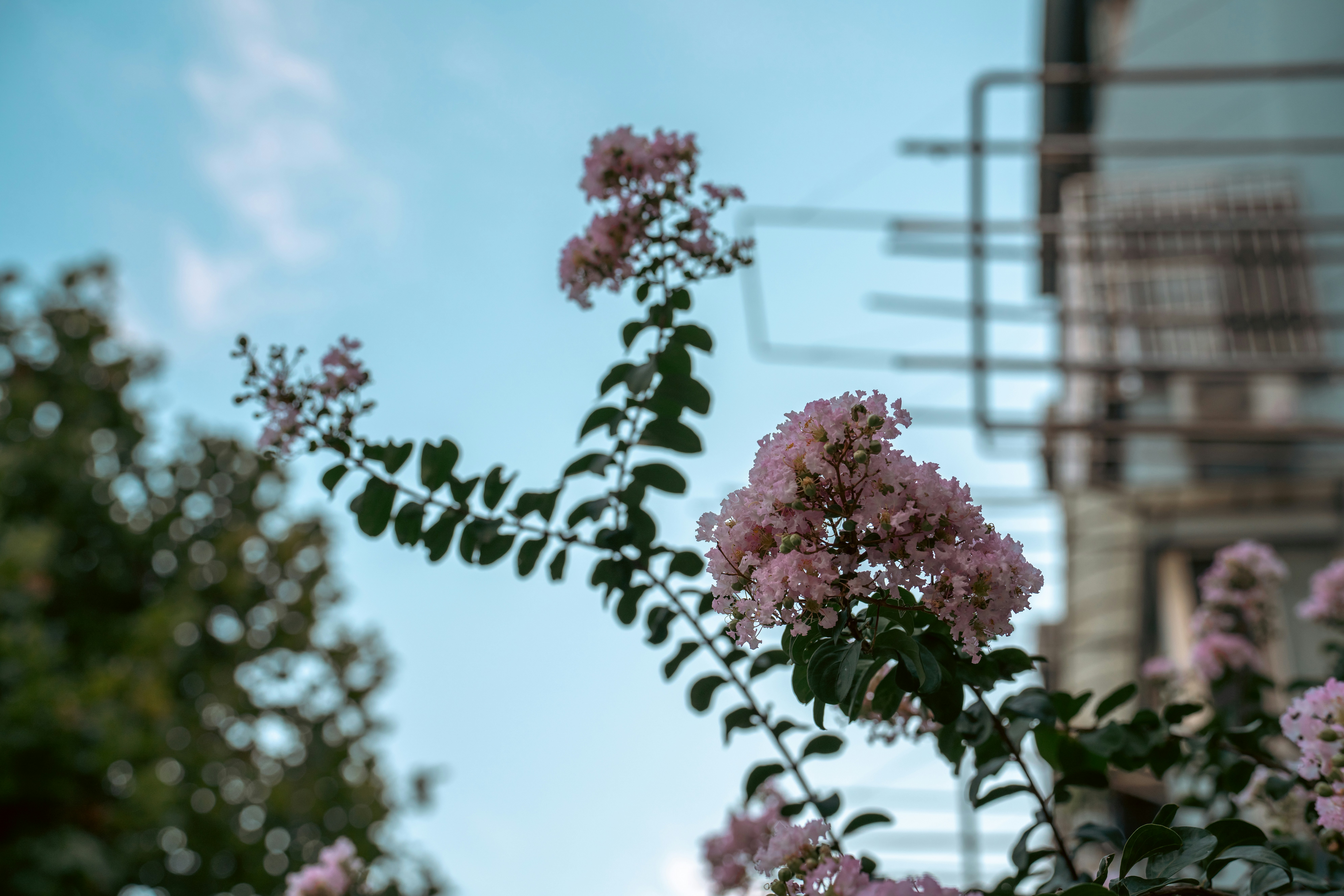 Containers in Flowery Branch, GA
