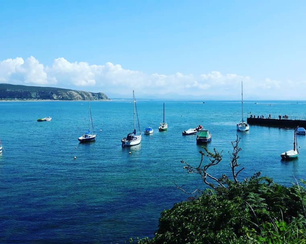 a group of boats in a body of water