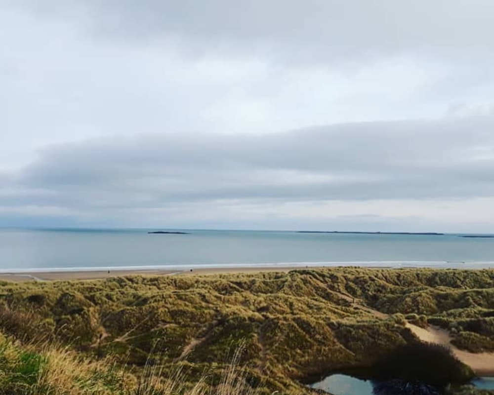 a beach with grass and sand