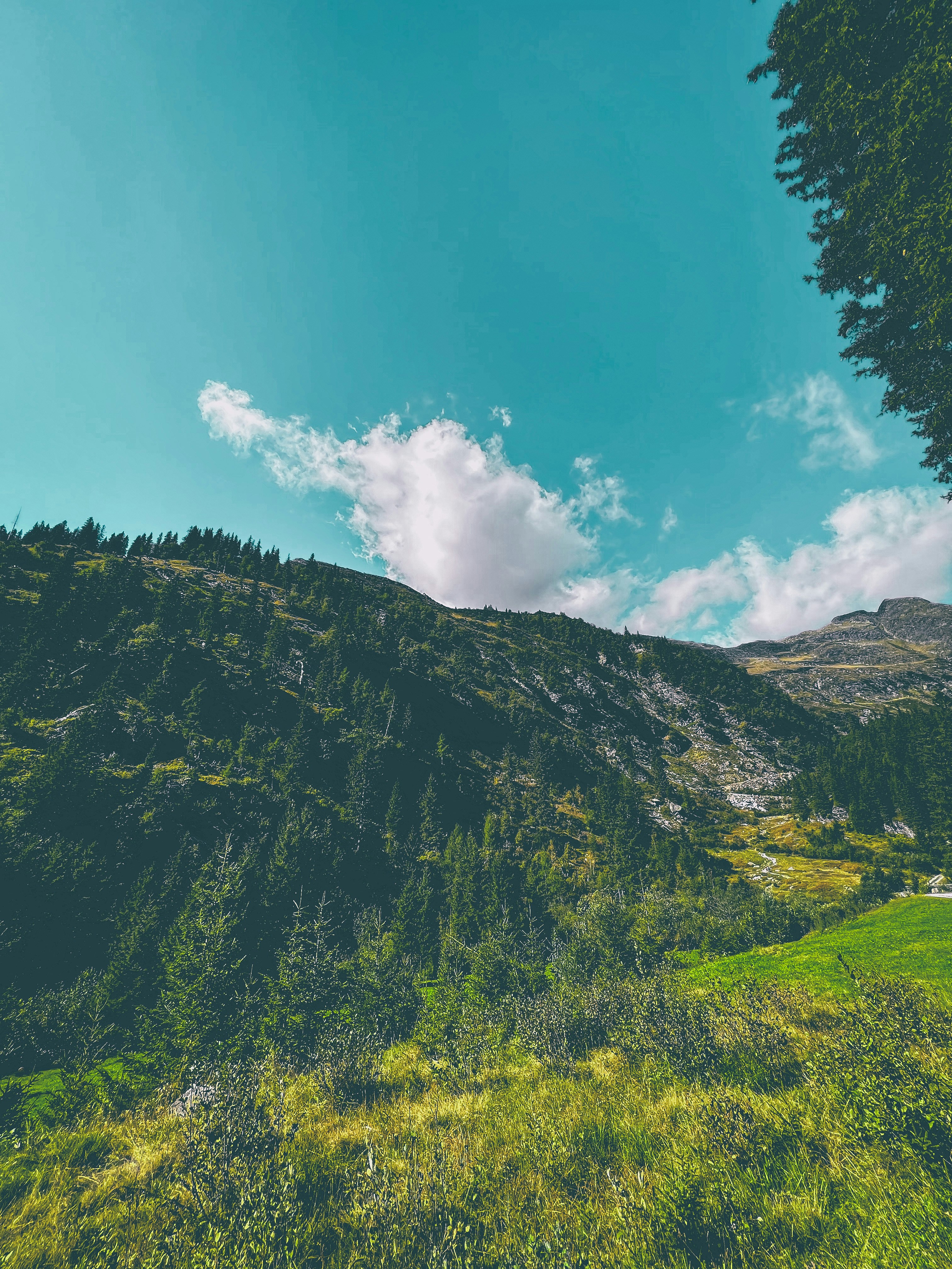 Photo by raffelschnaffel