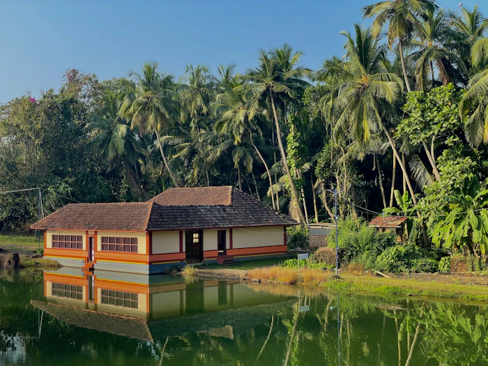 Yoga Meditation Retreats