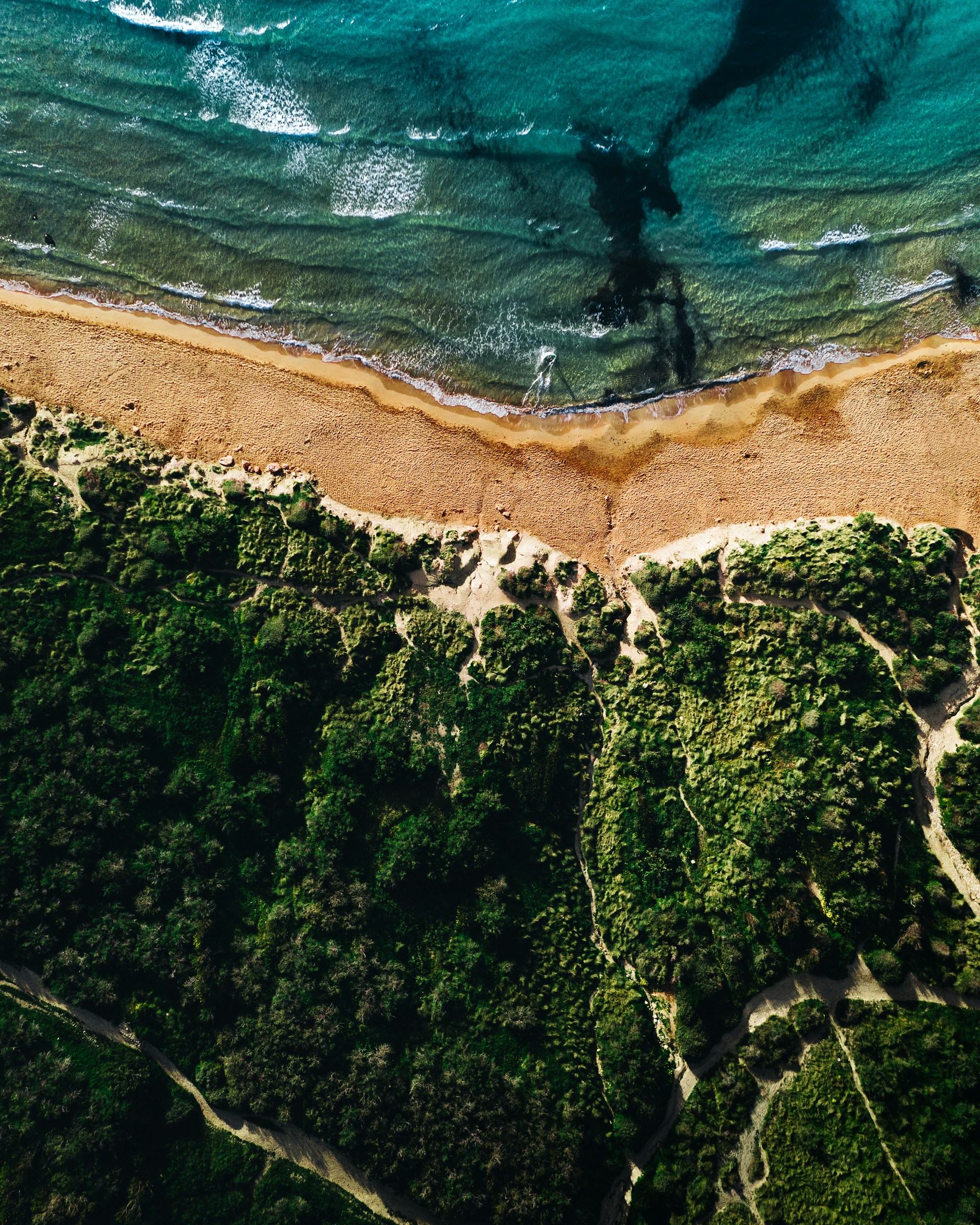 aerial view of a beach and ocean