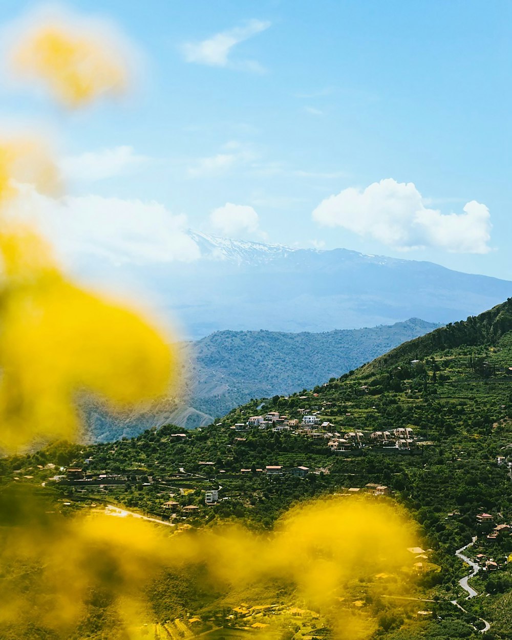 a landscape with a body of water and mountains in the back