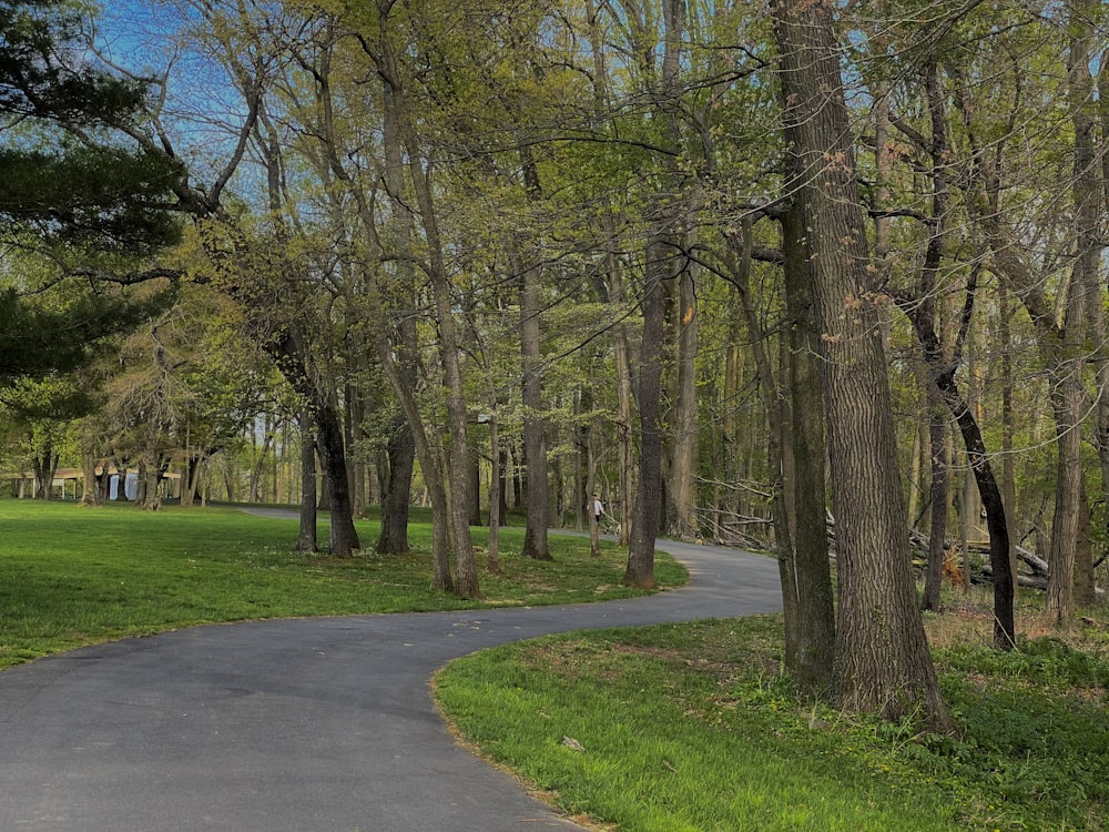 Une route arborée sur le côté