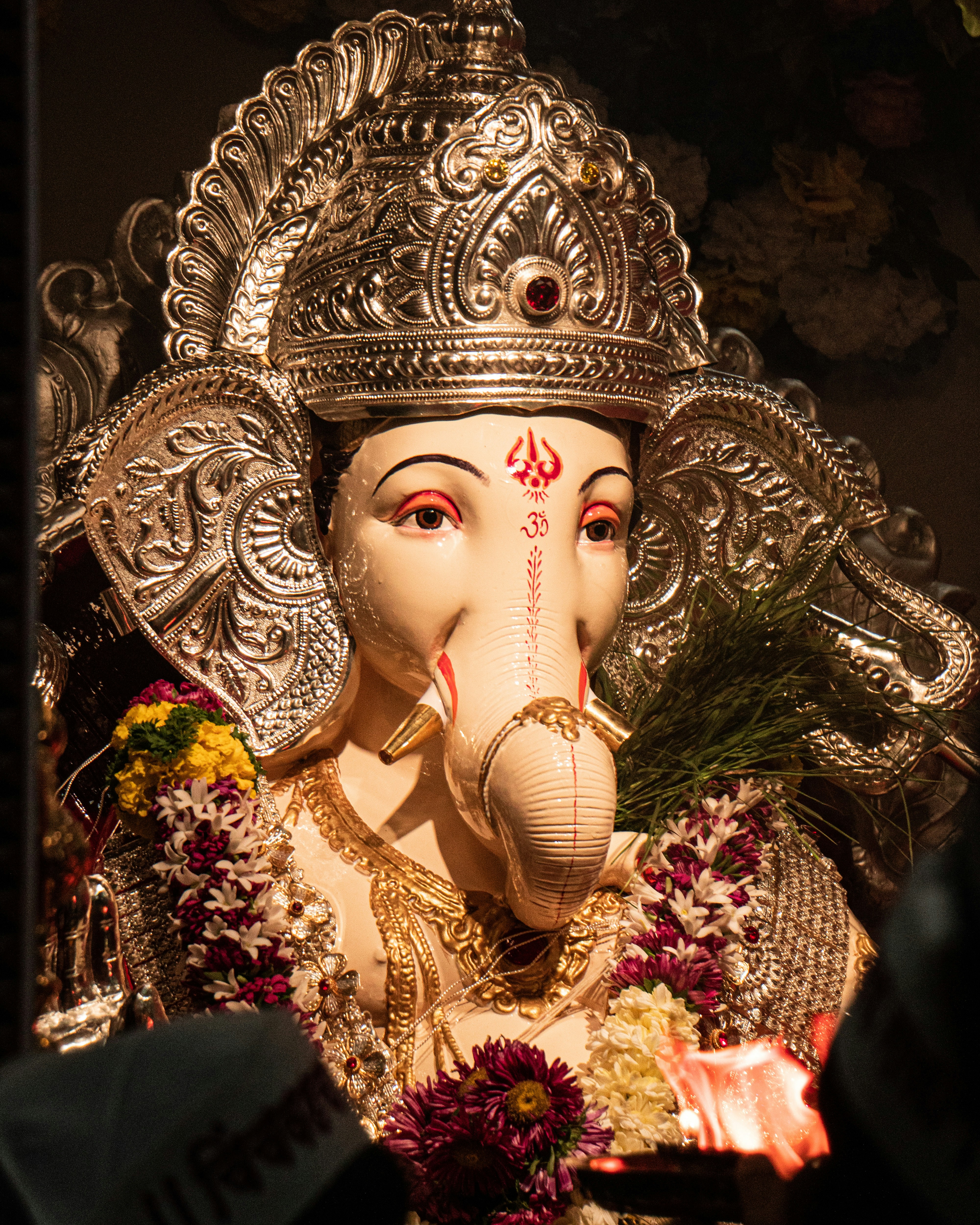 a person wearing a crown