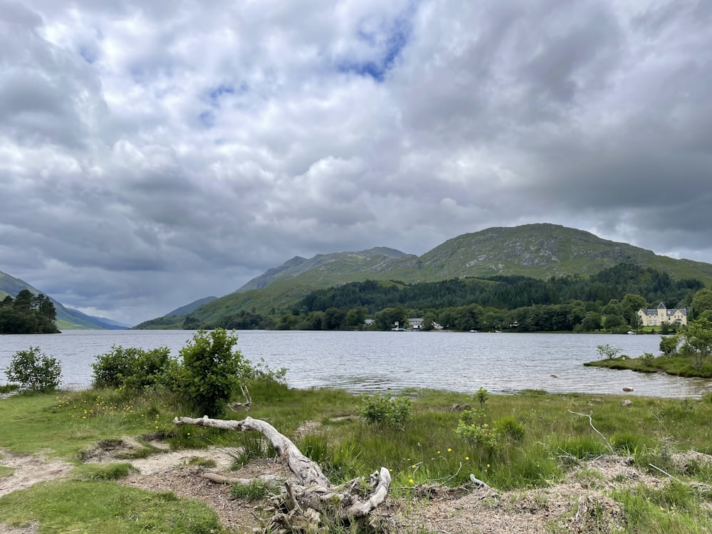 a body of water with grass and trees around it