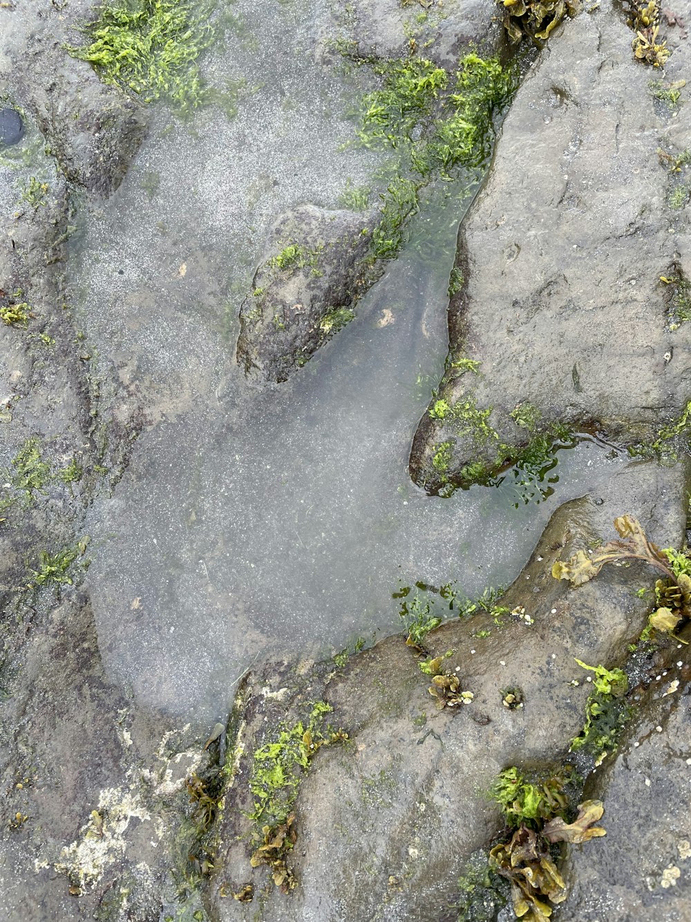 a close-up of some rocks