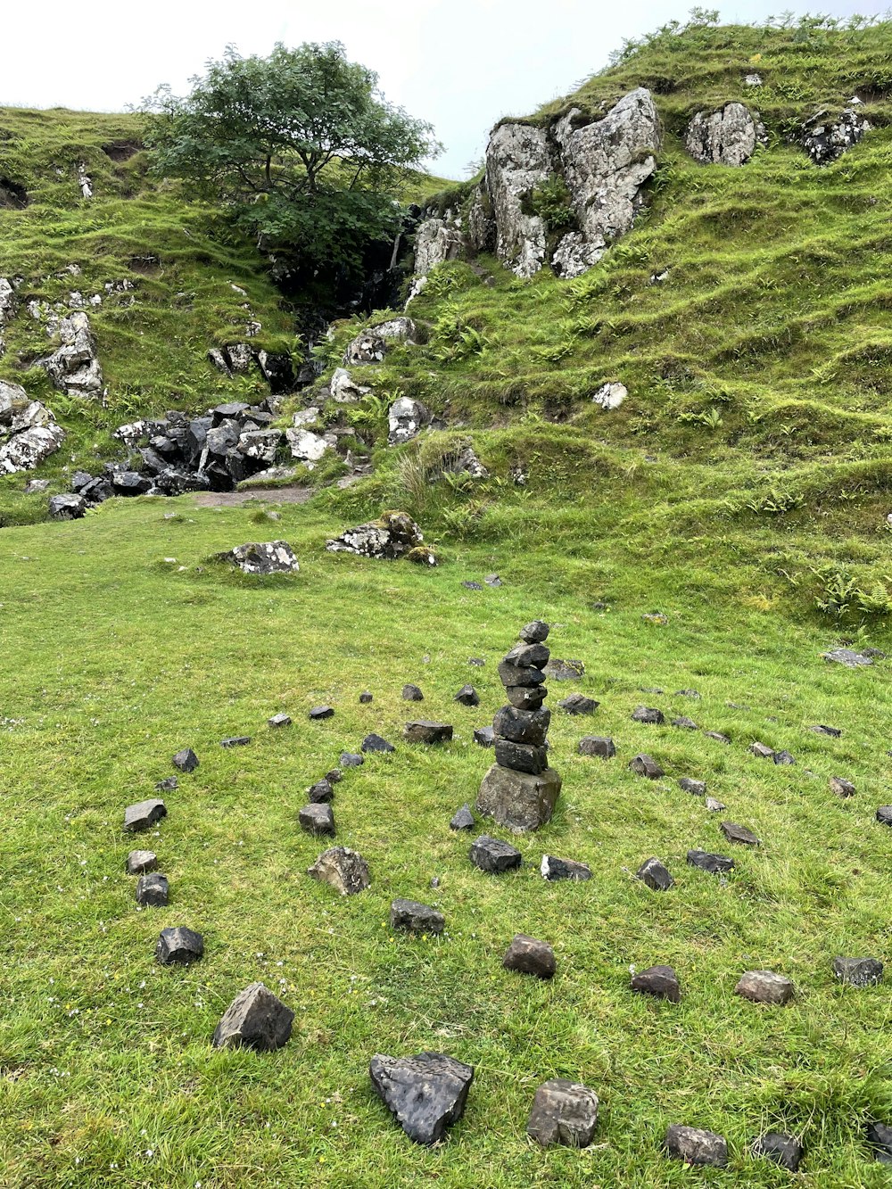 una collina erbosa con rocce e alberi