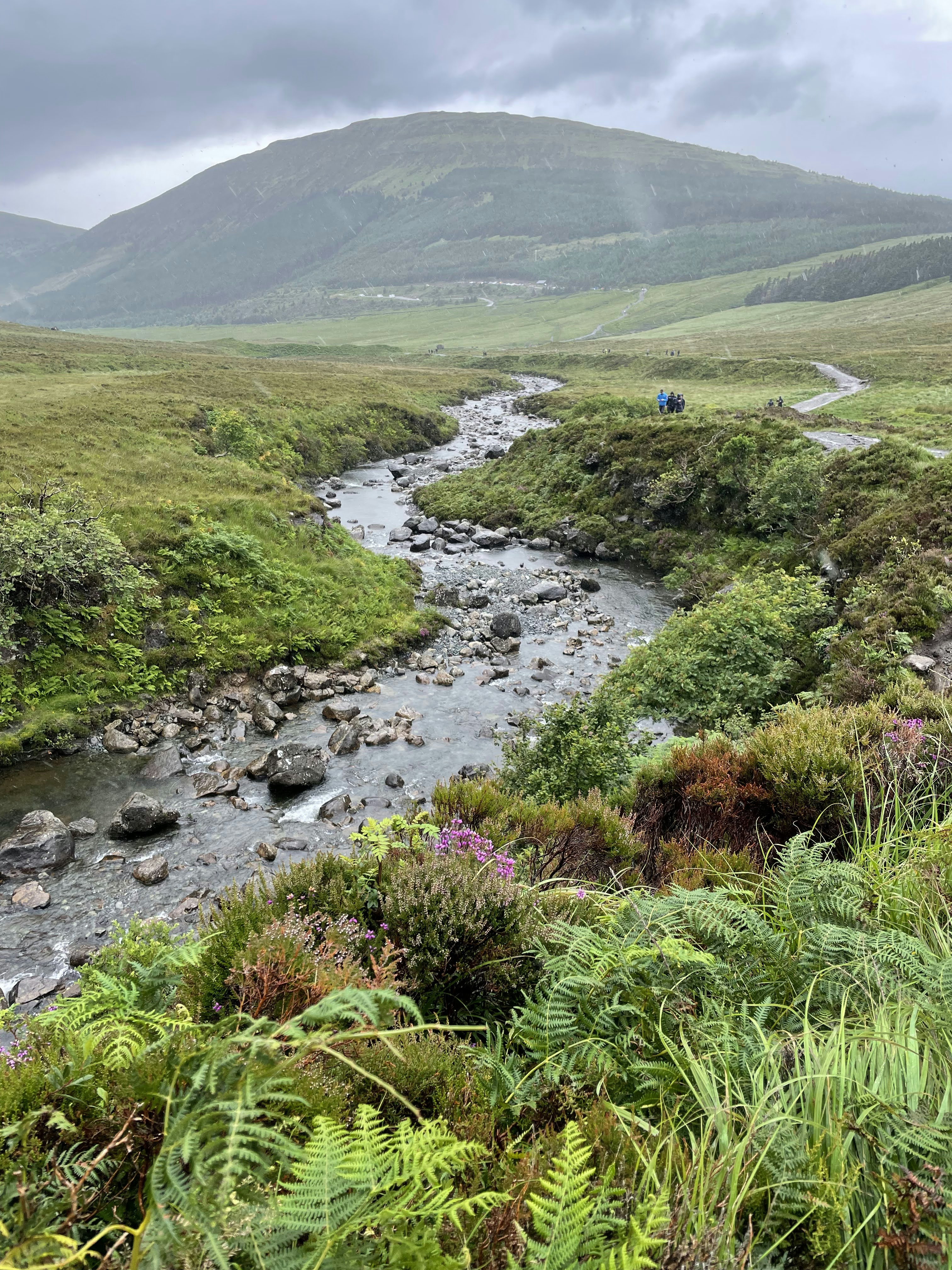 a river running through a valley