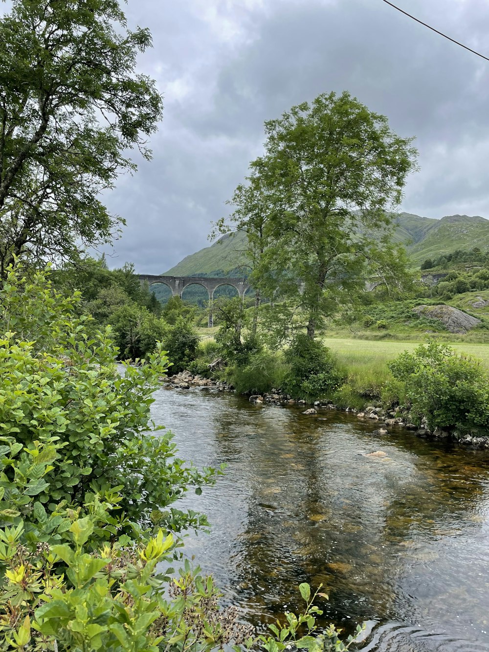 a river with trees and bushes around it