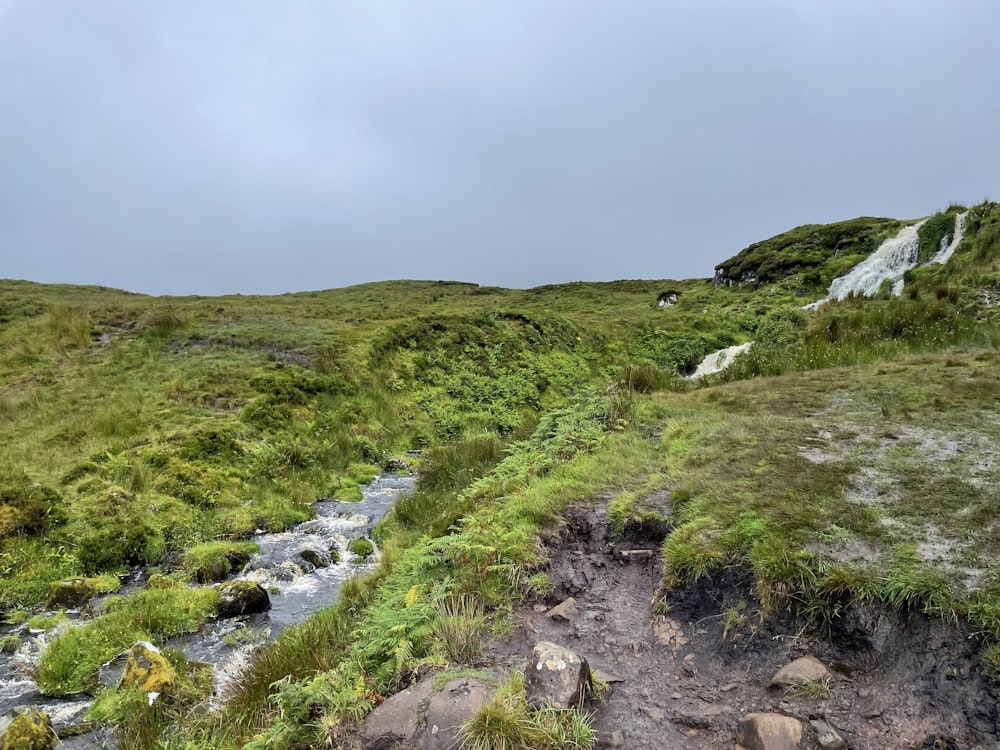 a stream running through a grassy area