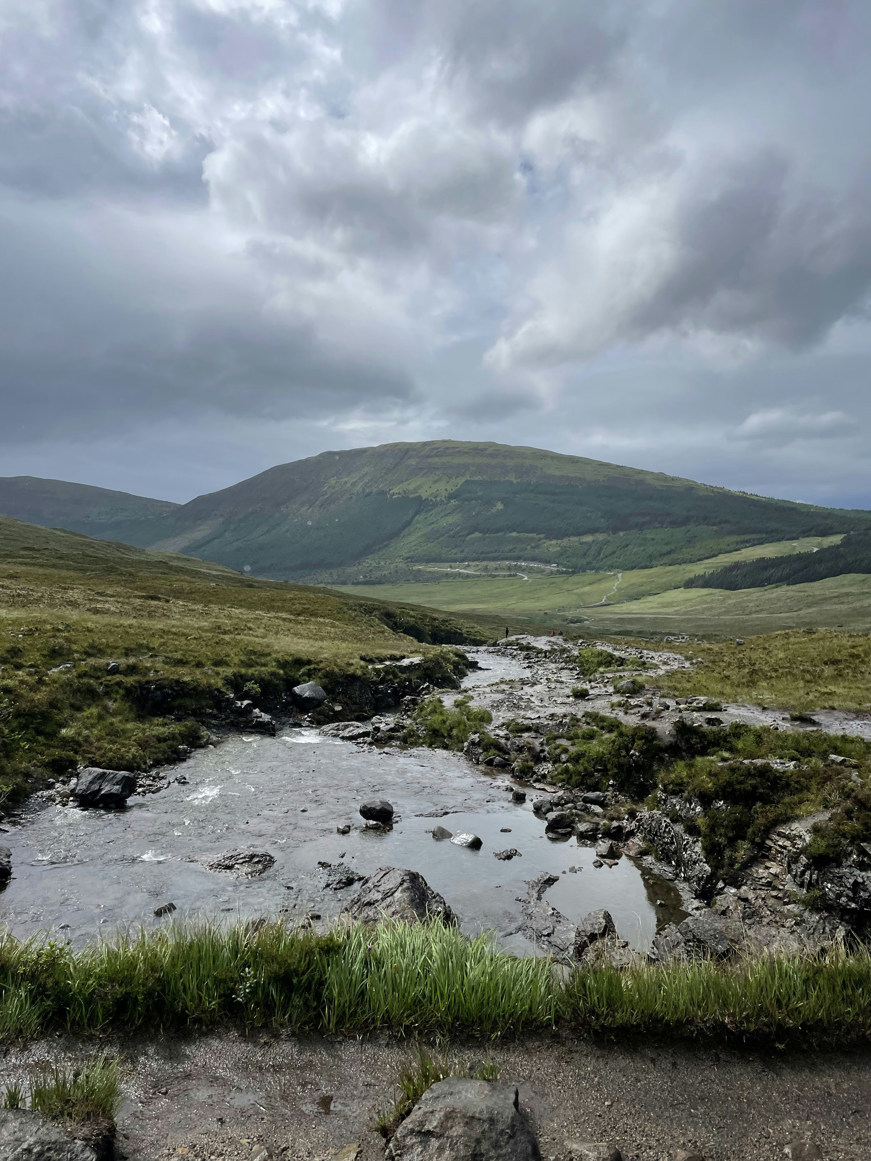 a river running through a grassy area