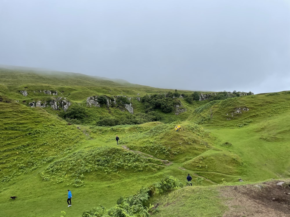 people walking on a grassy hill