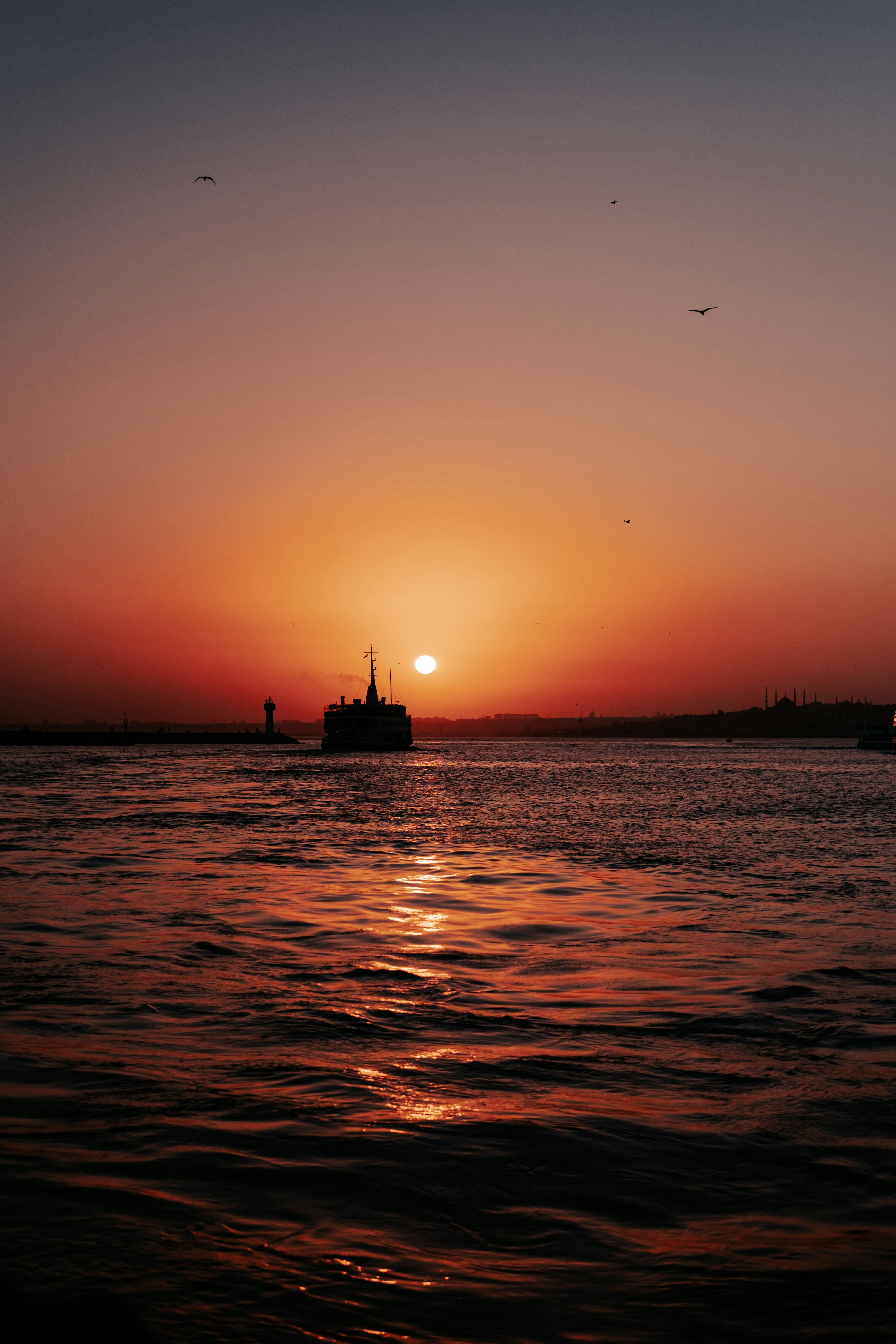 Photo by mutecevvil