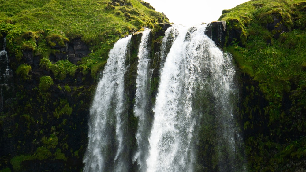 a waterfall in a forest