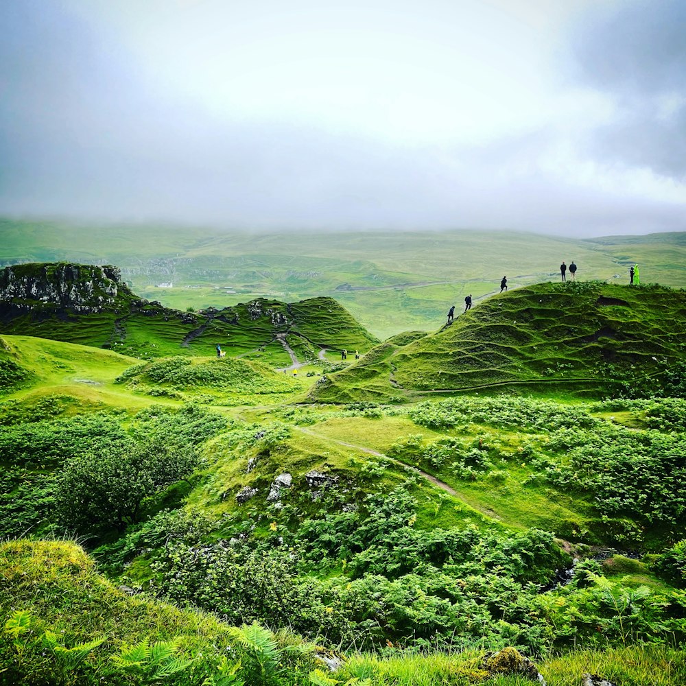 Un gruppo di persone che camminano su una collina verde