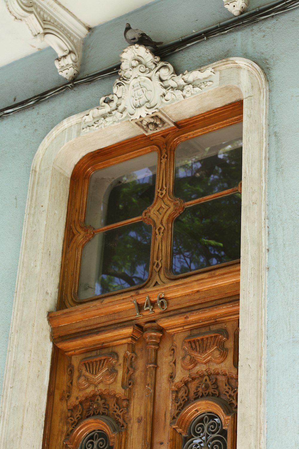 a bird sitting on a window