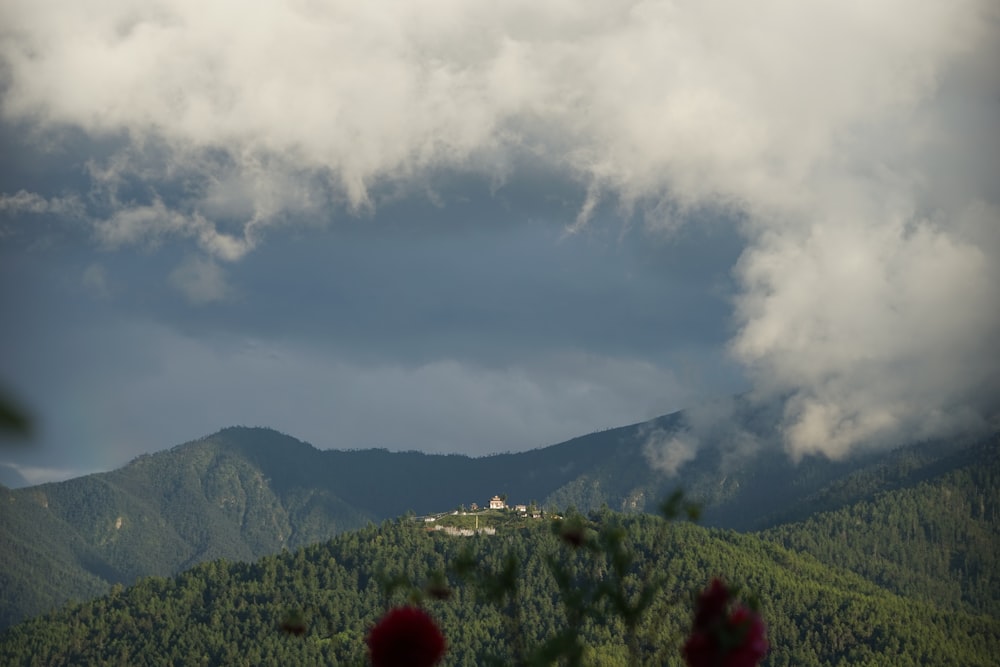 a landscape with trees and mountains