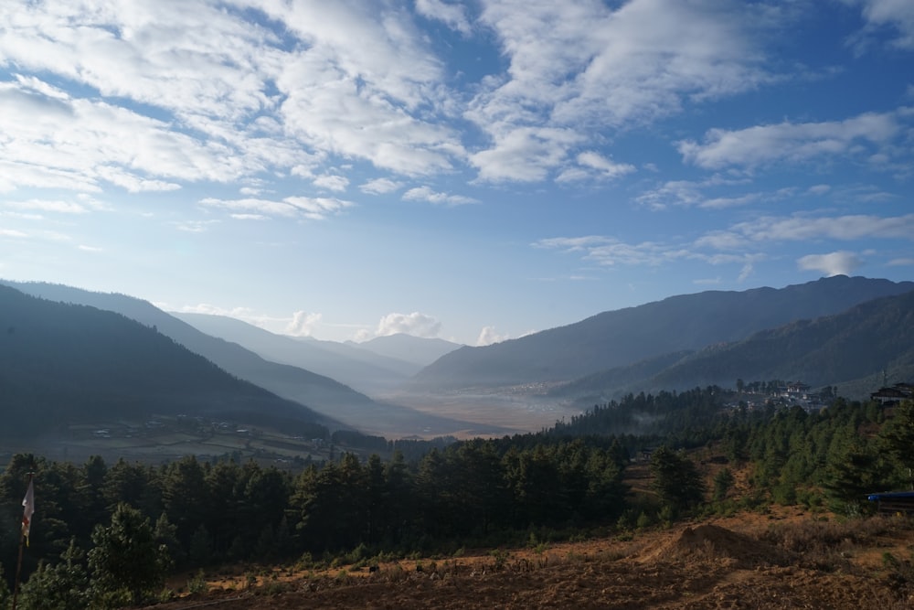 a landscape with trees and mountains in the back