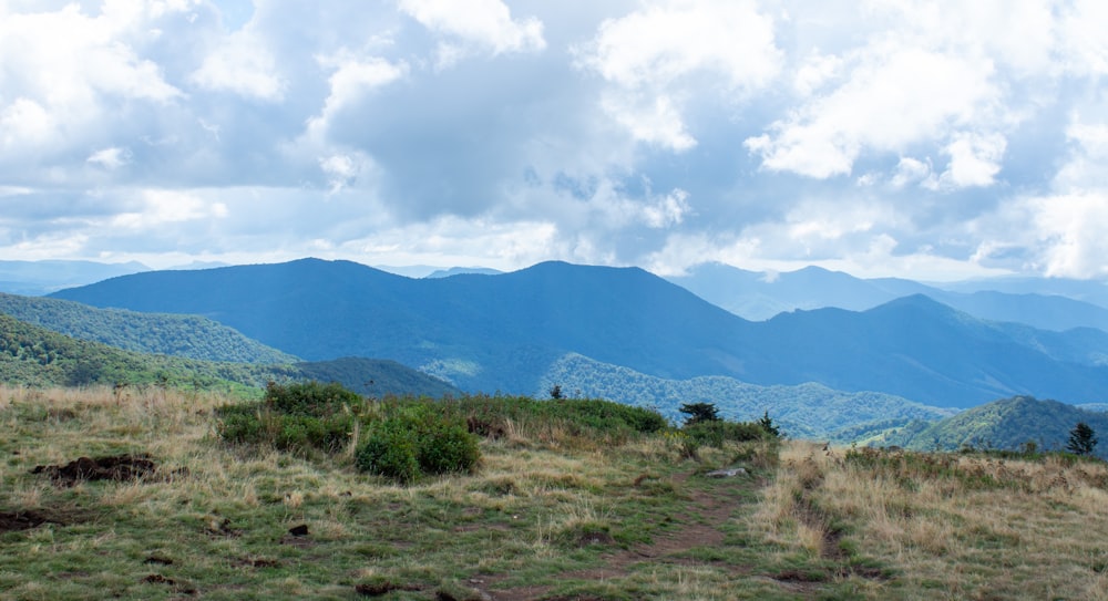 a dirt road in a grassy area with mountains in the background