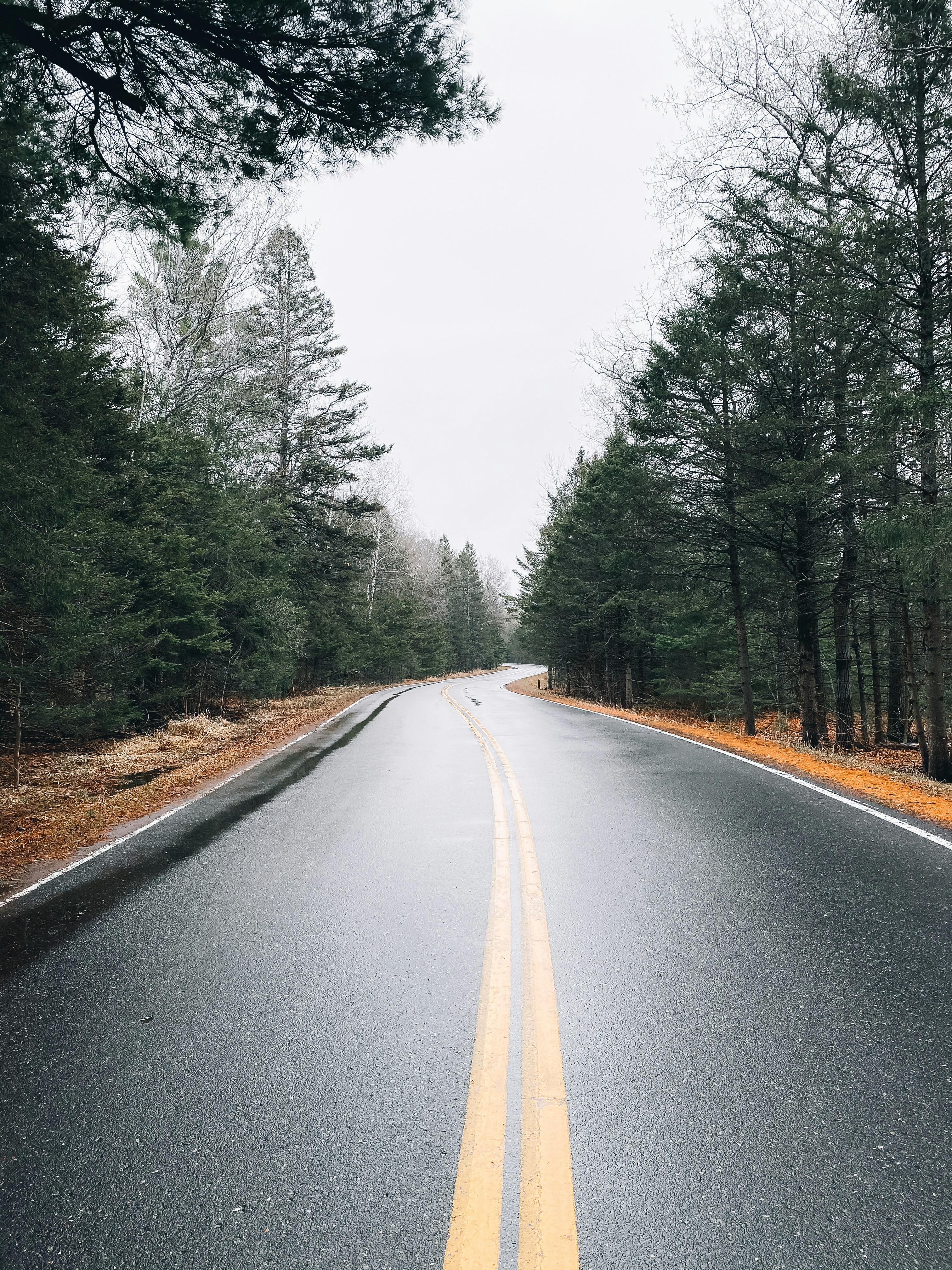a road with trees on the side