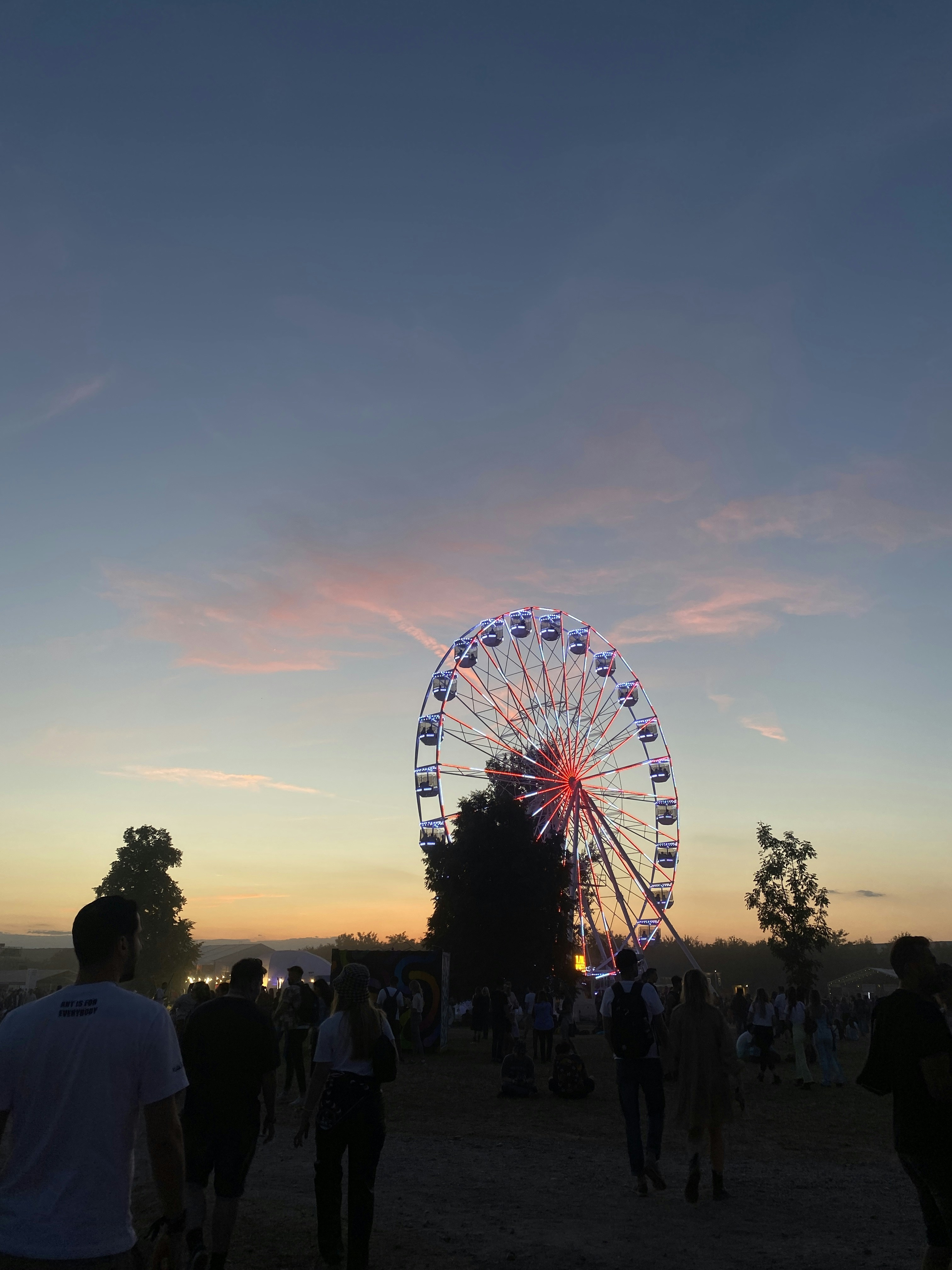 a group of people standing around a ferris wheel at night