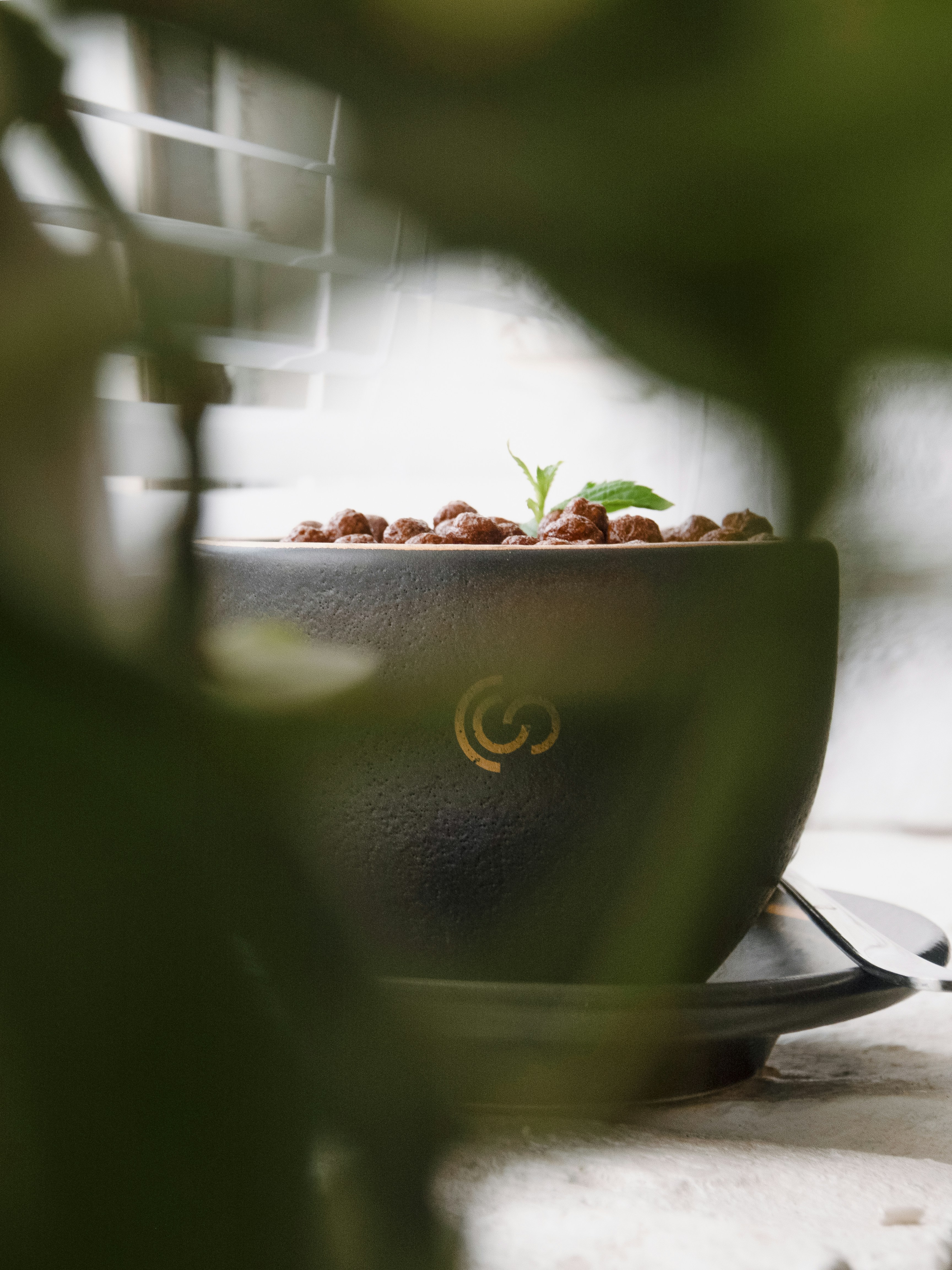 a plant in a pot