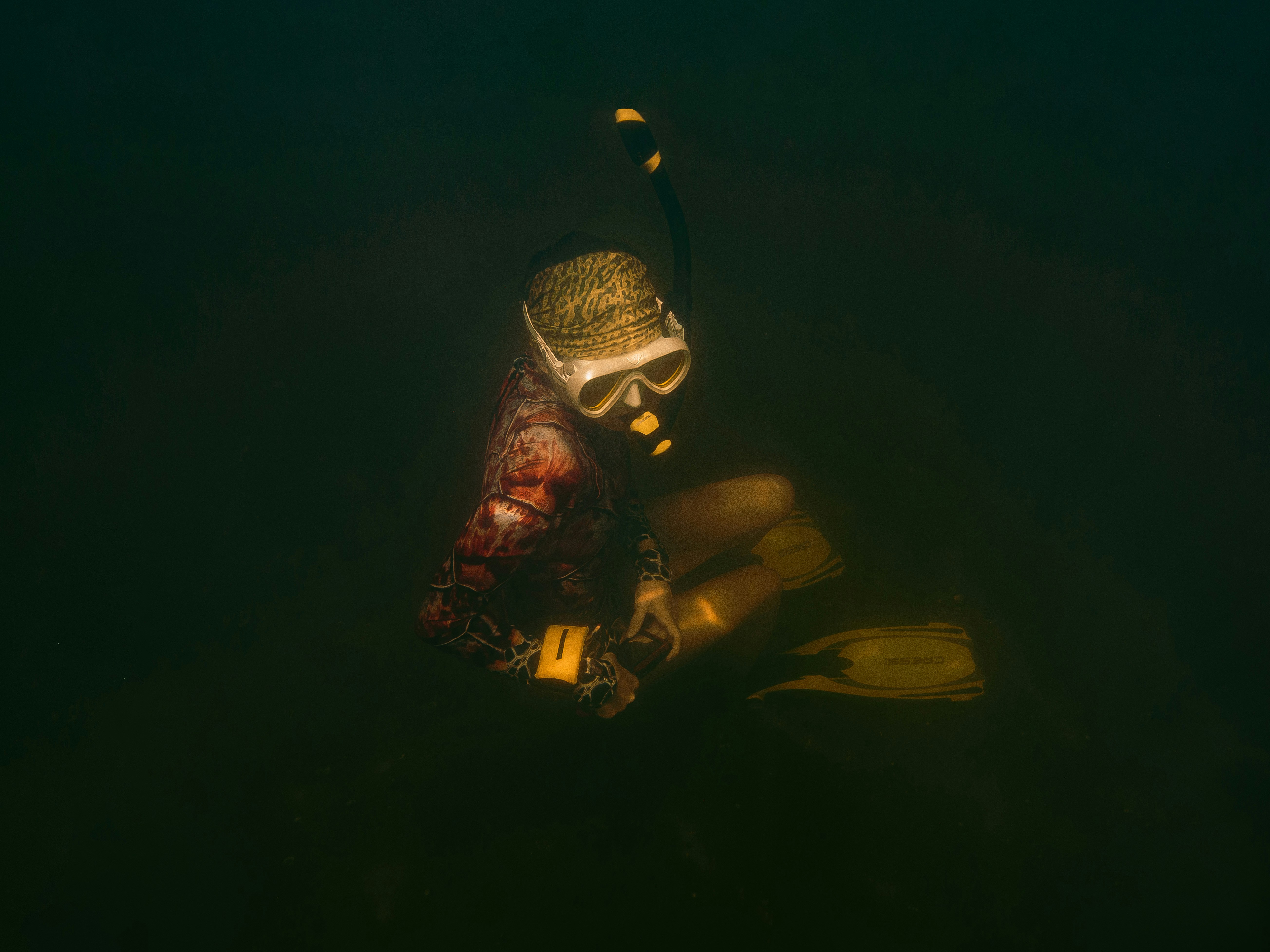 Underwater photographer