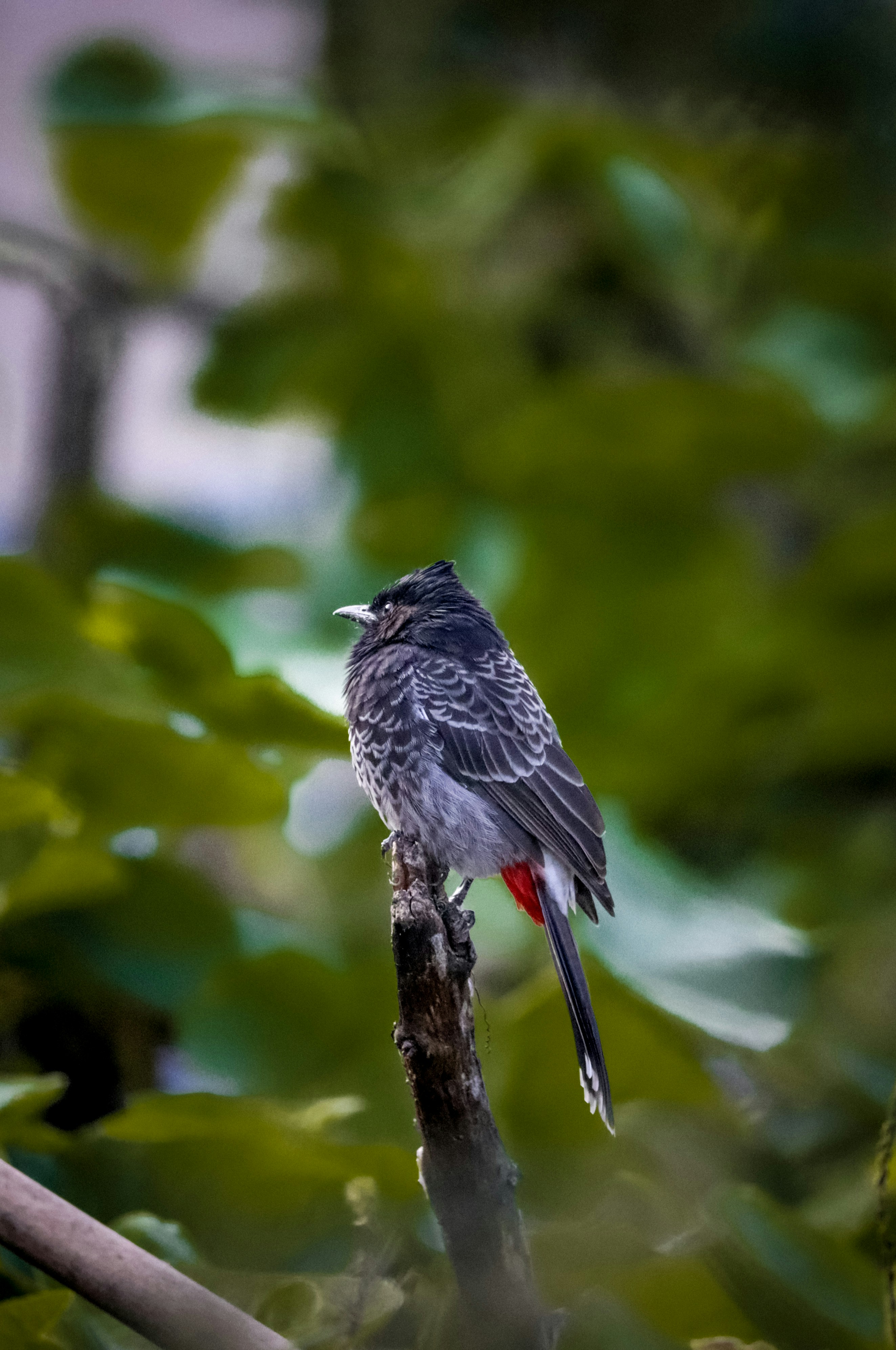 Photo by soonamwooeser