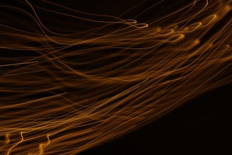 a sunset in the background