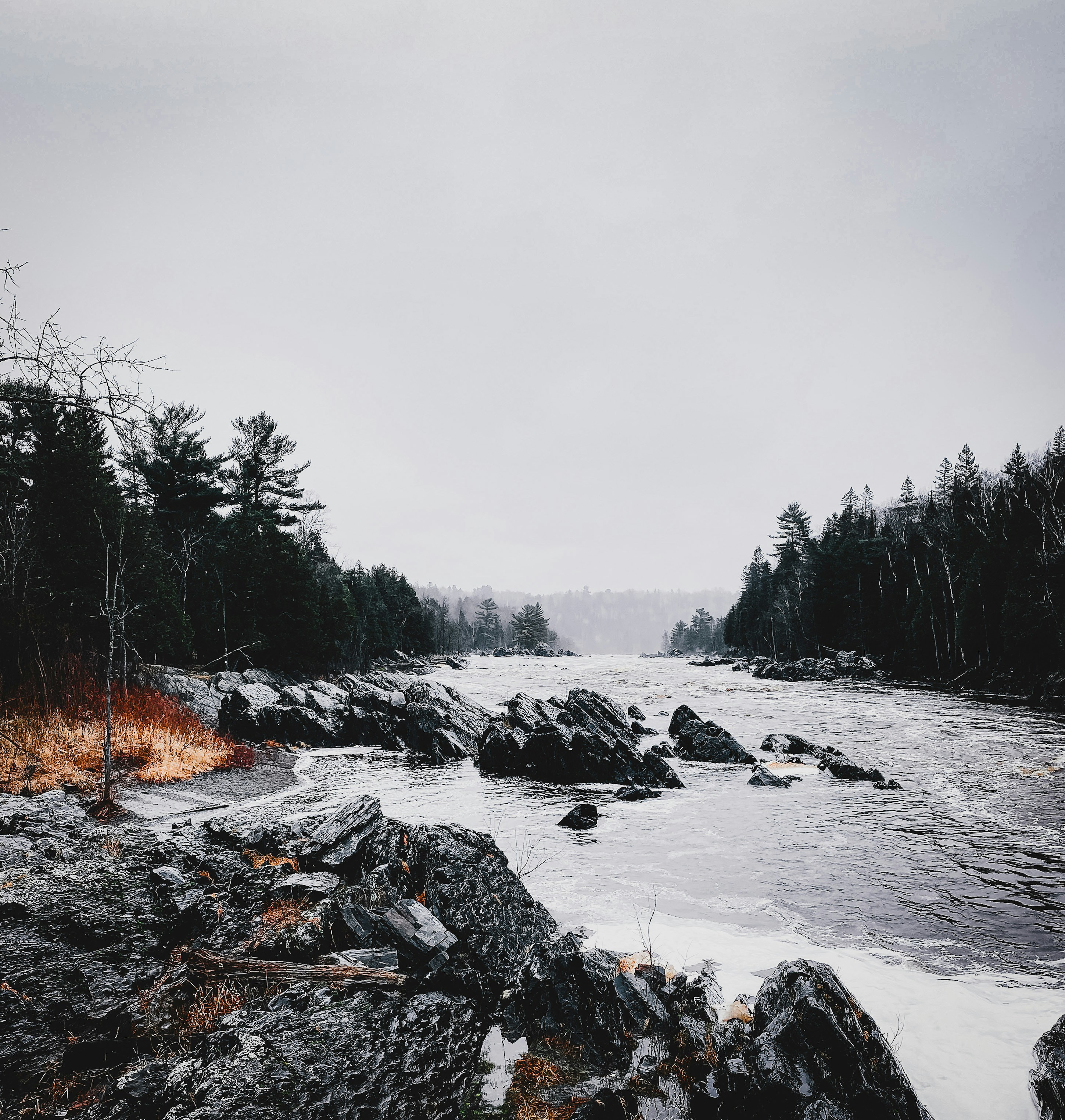 a river with rocks and trees