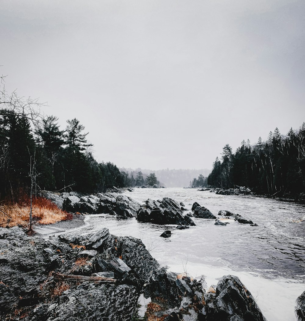 a river with rocks and trees