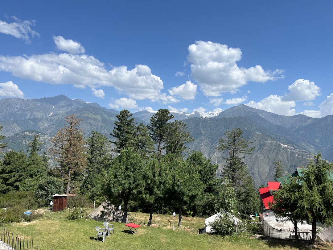 a grassy area with trees and mountains in the background